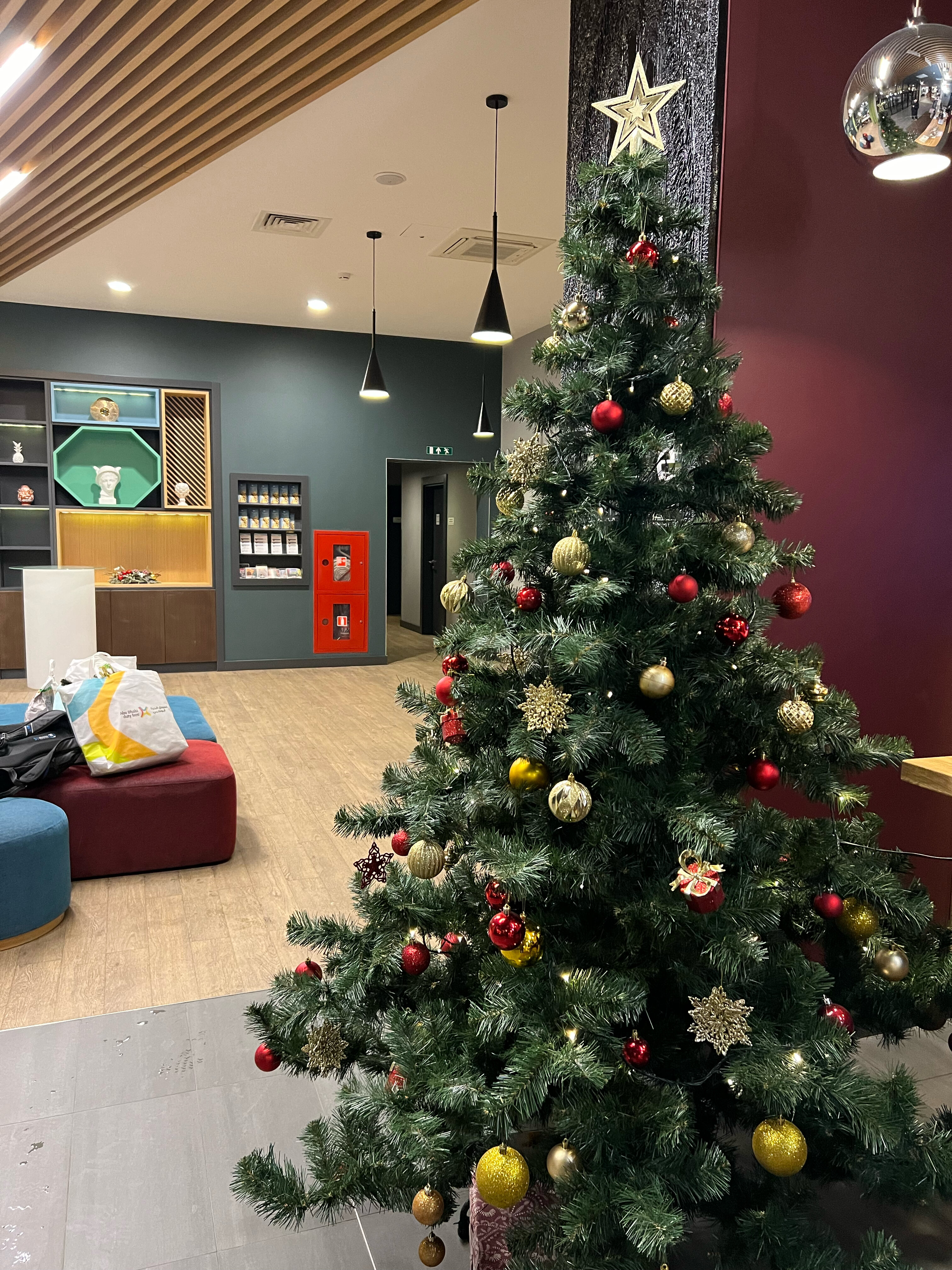 Фото Mercure Нижний Новгород центр