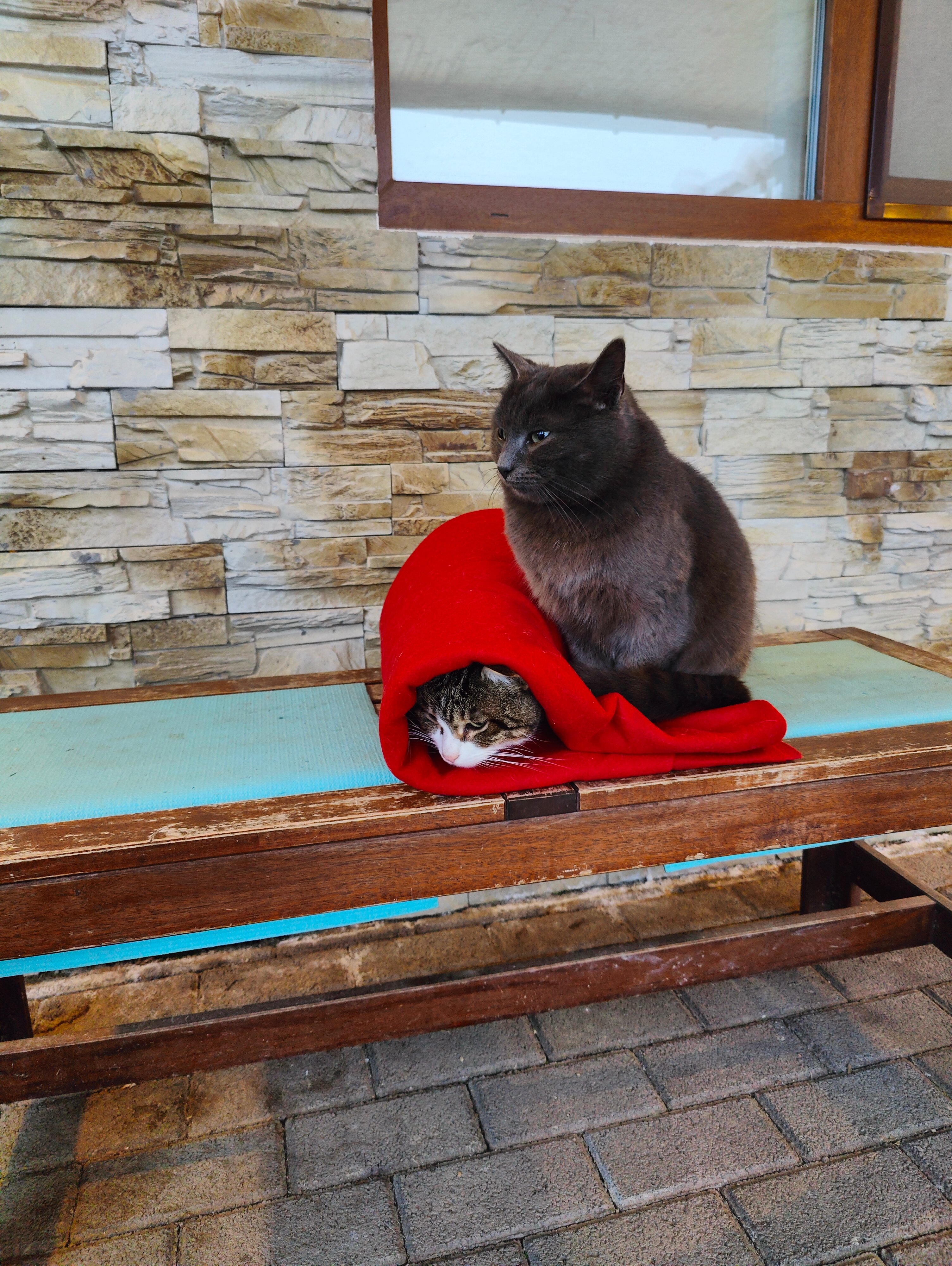 Фото Намасте