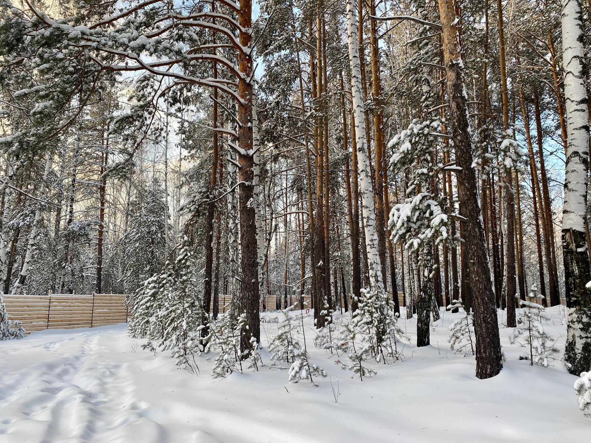 Фото DreamHouse Village