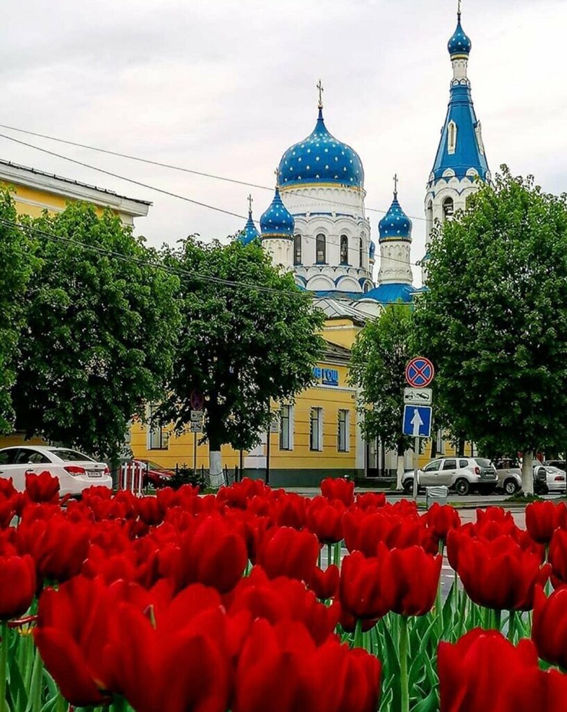 Православный храм Собор Покрова Пресвятой Богородицы, Гатчина, фото