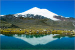 Лига-тур (Pionerskaya Street, 3), tour operator