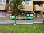 Abrikos (Uspenskaya Street, 28) ، مركز الرعاية النهارية، رياض الأطفال