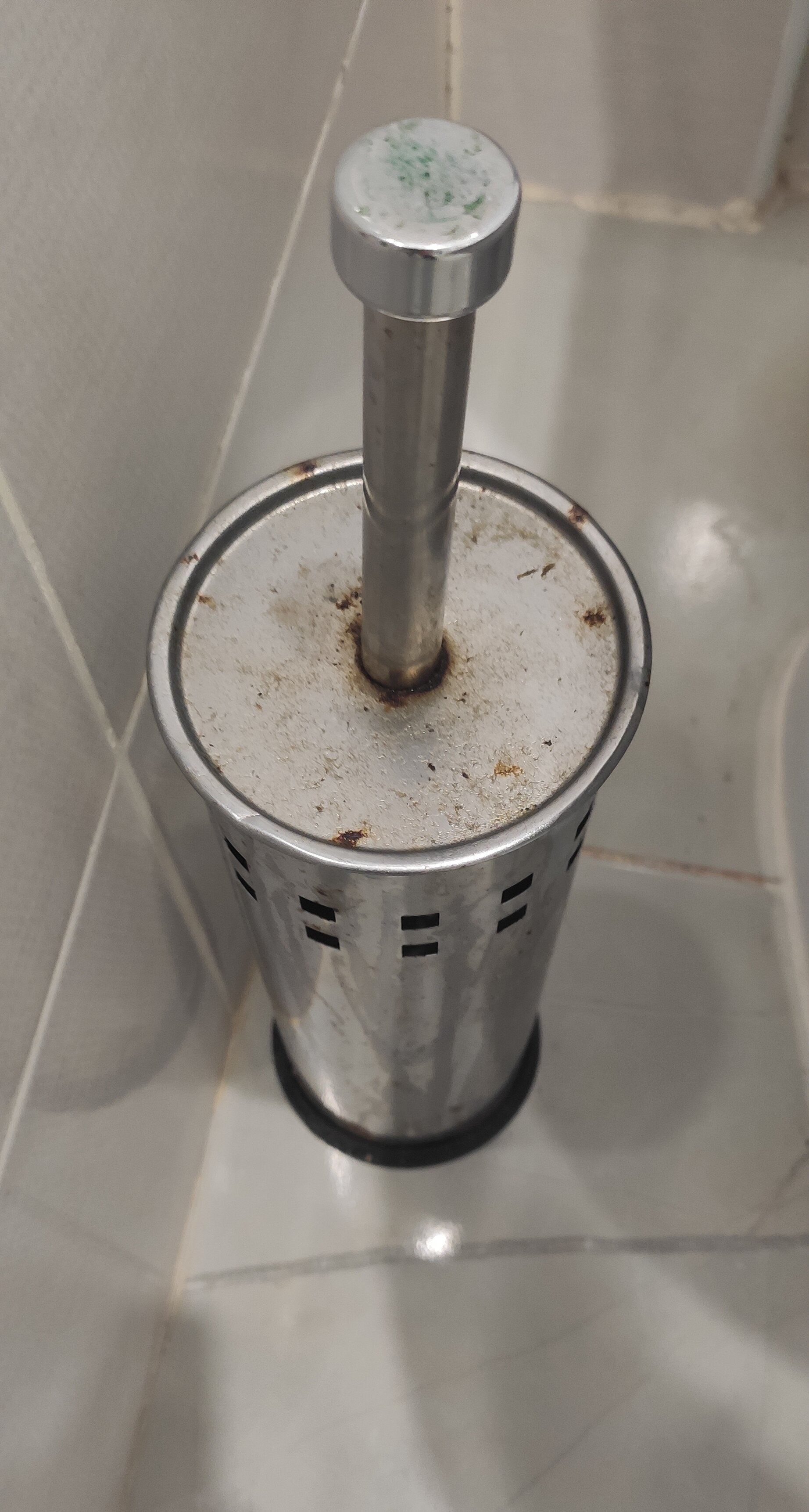 Фото Диоскурия