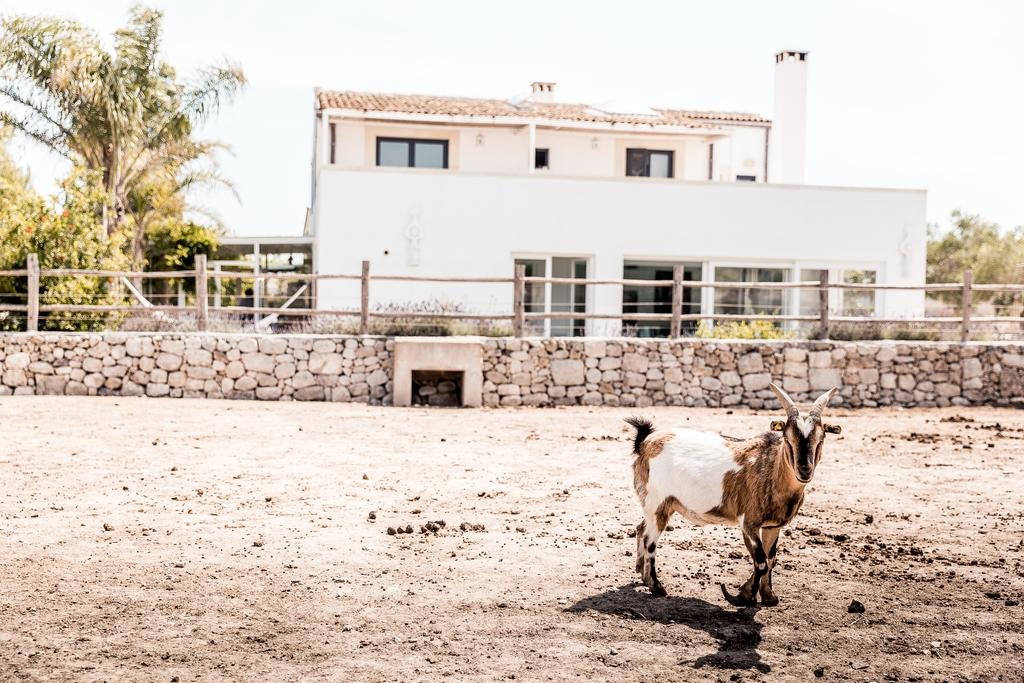 Фото Masseria Prosperi