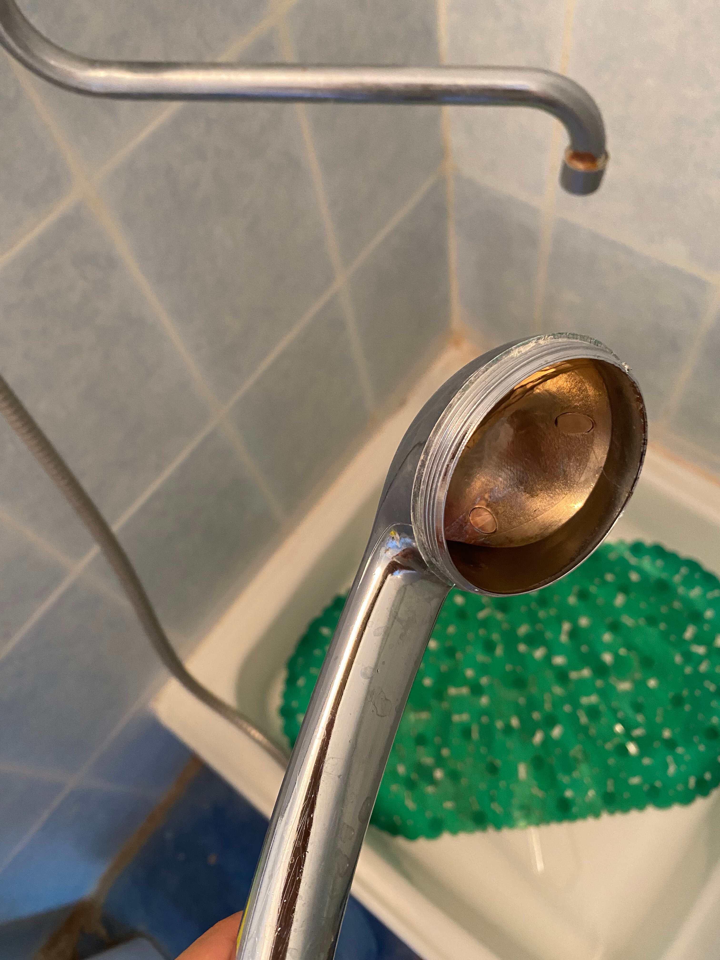 Фото Шатковская