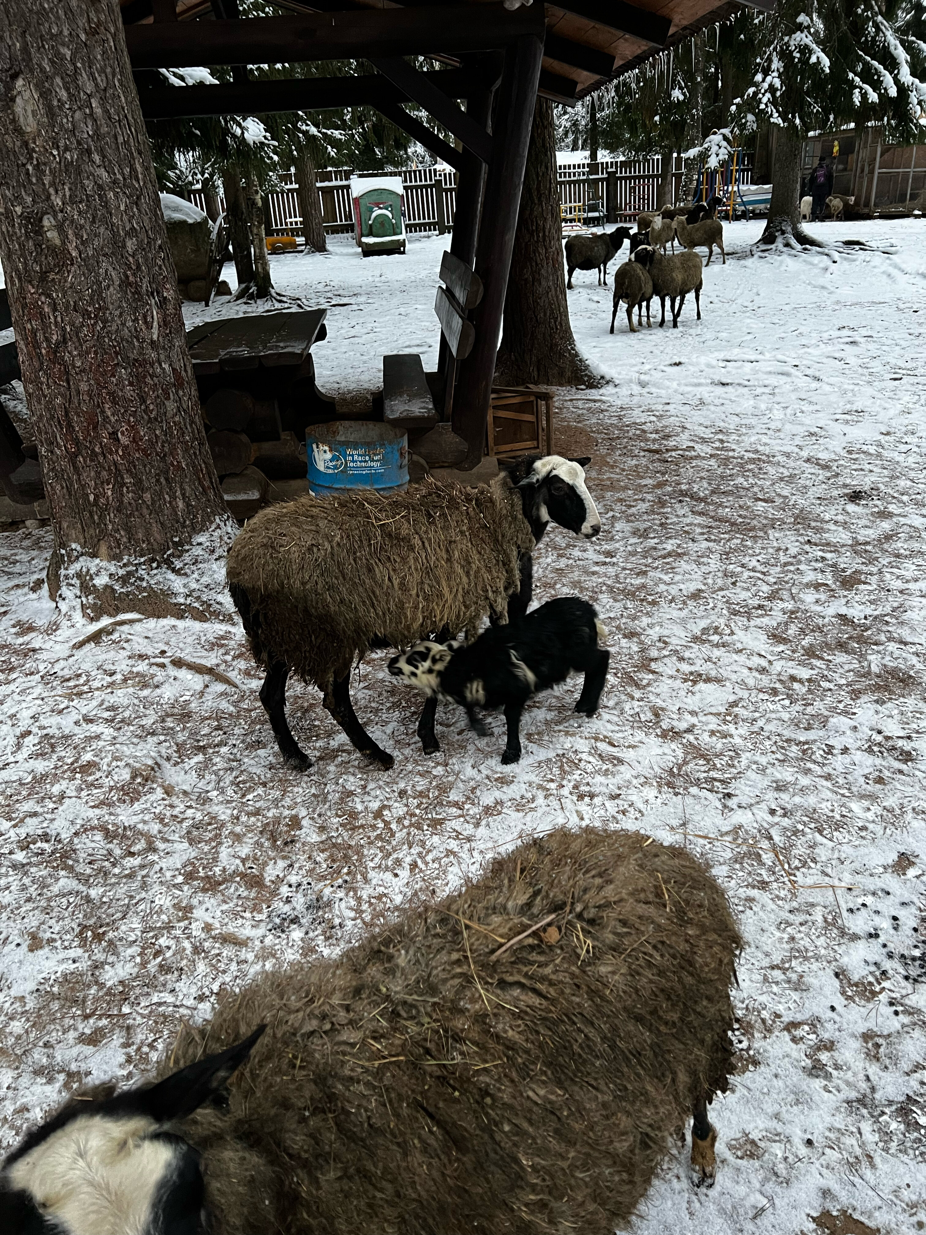 Фото Седьмой берег