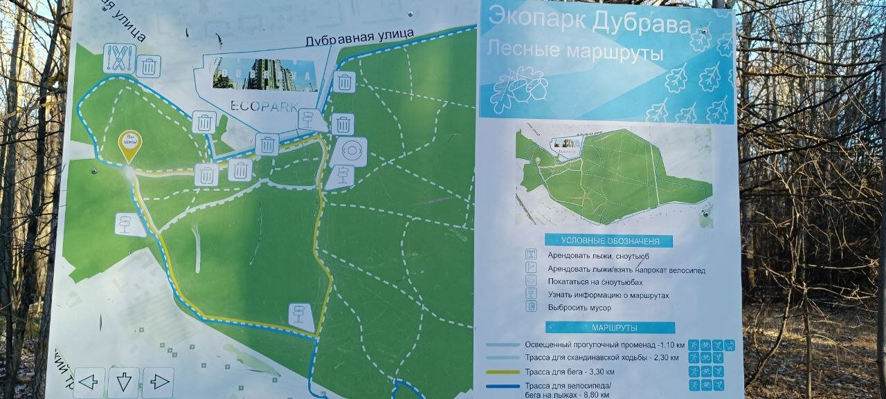 Фото Дубрава