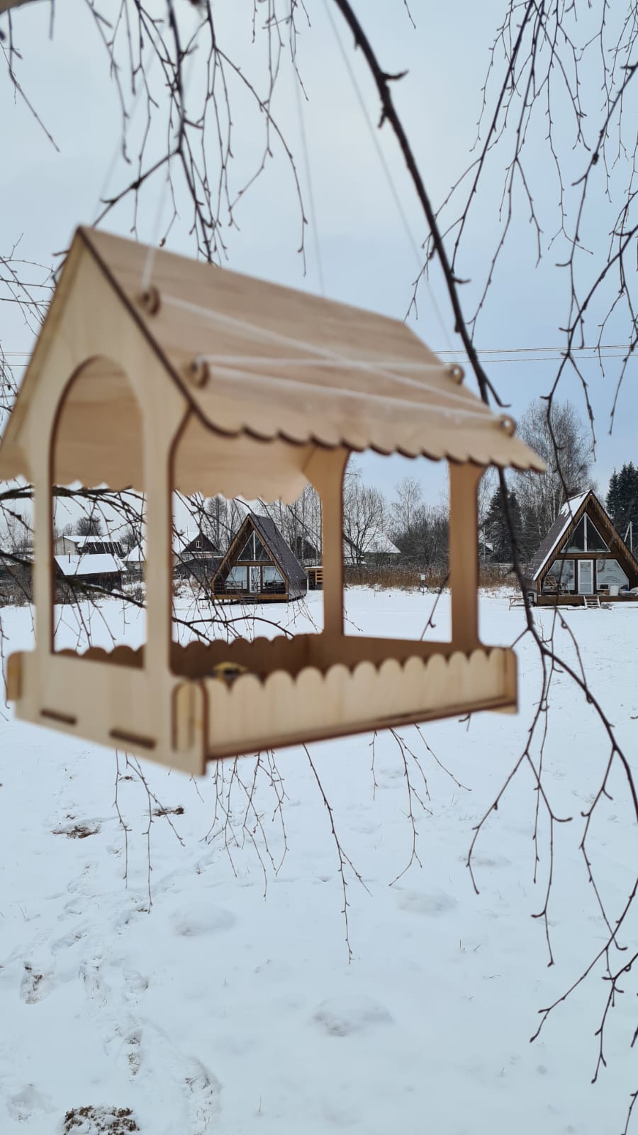 Фото Волшебный лес