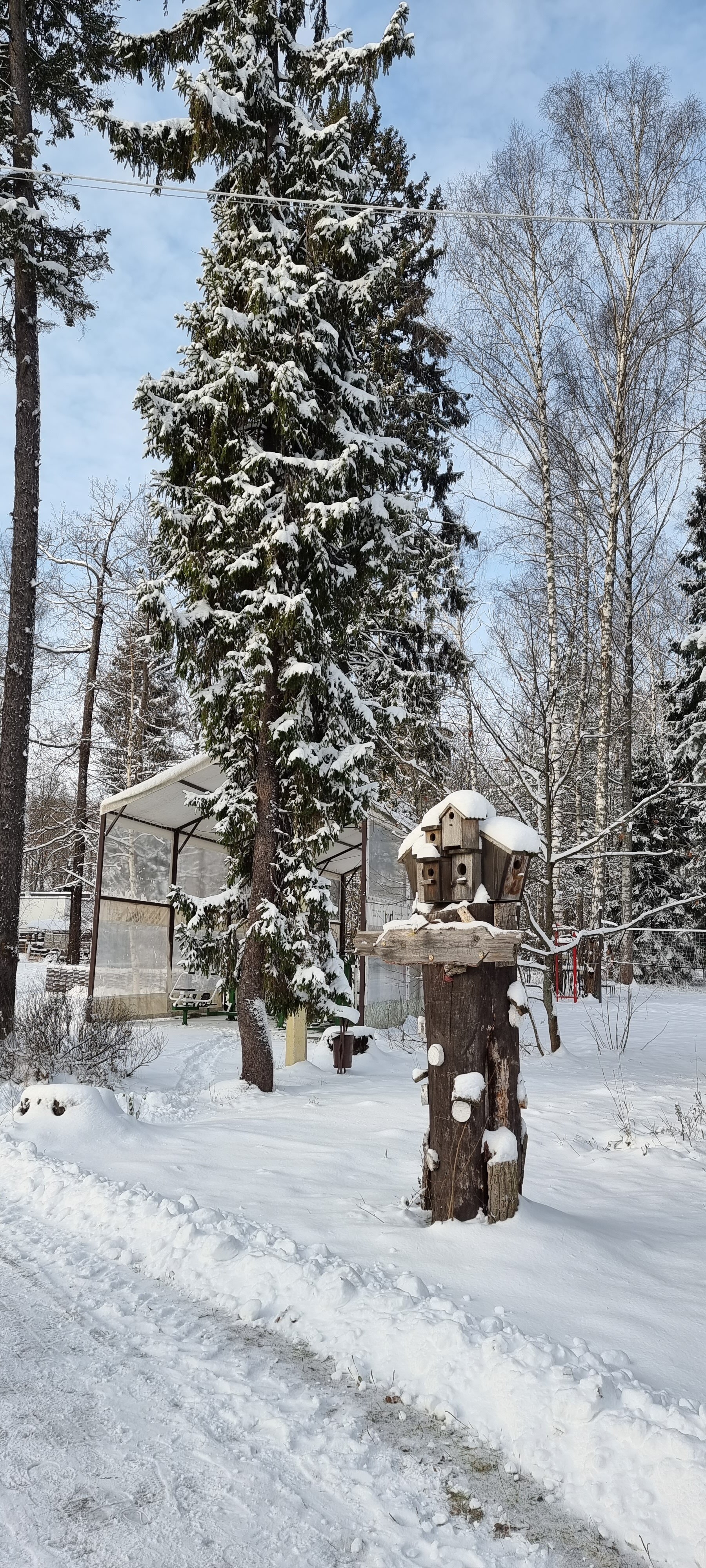 Фото Ильдорф