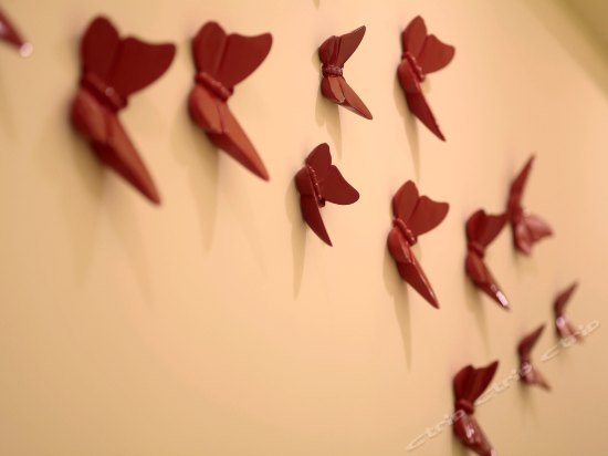 Фото Care Hotel Coast Collection