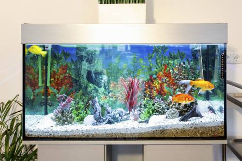 Фото Hotel Richter