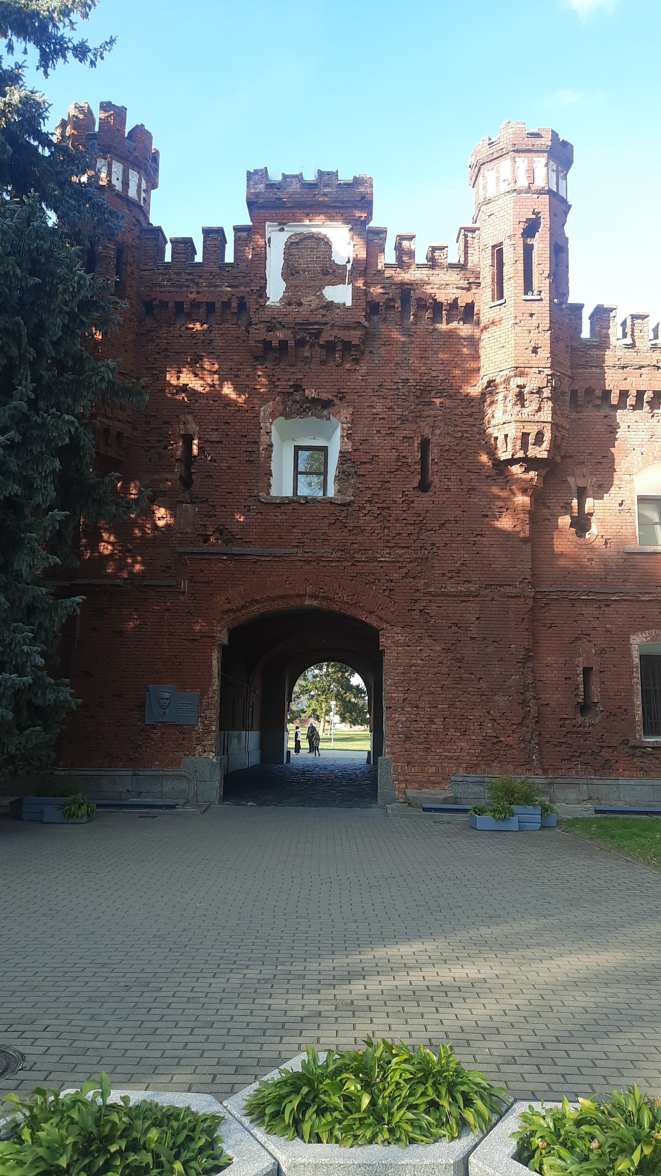 Фото Molodezhnaya