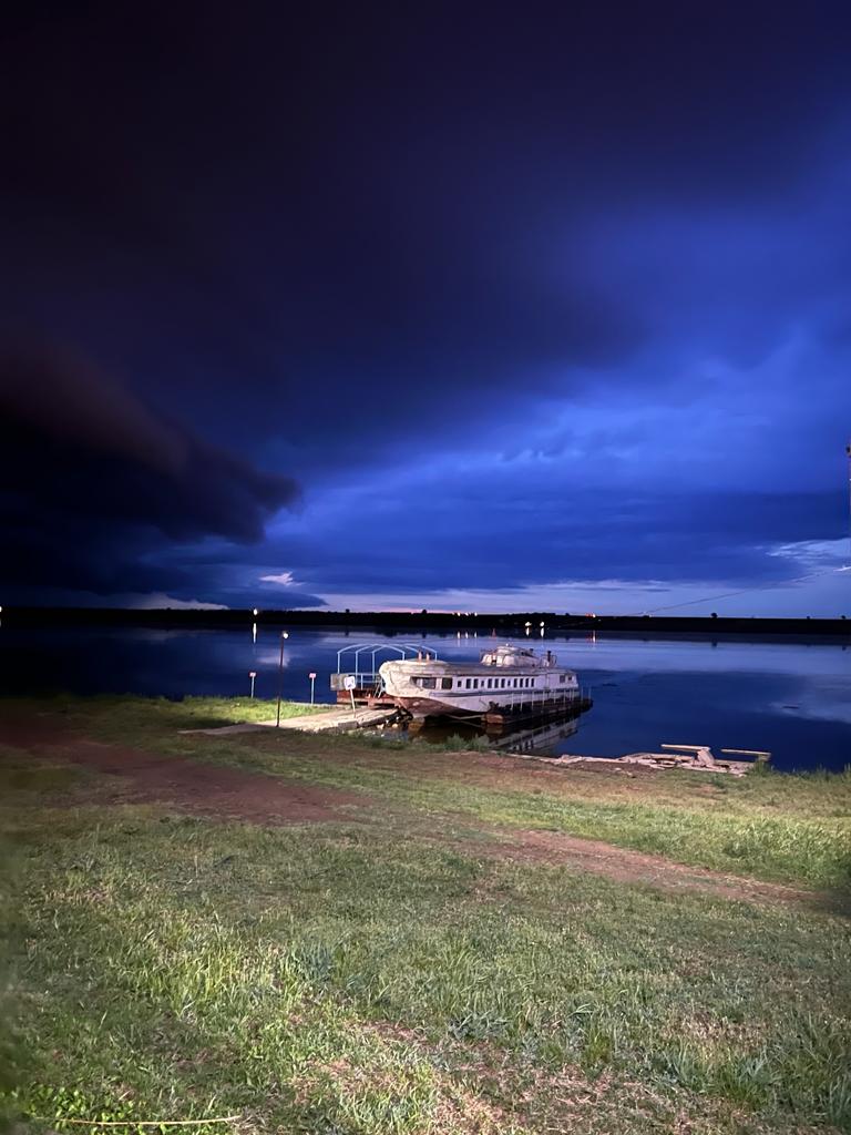 Фото Дельфин