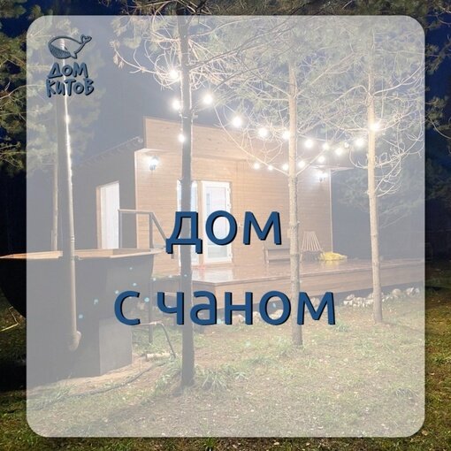 Фото Дом Китов