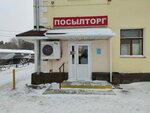 Posyltorg (Chernyshevskogo Street, 2), grocery