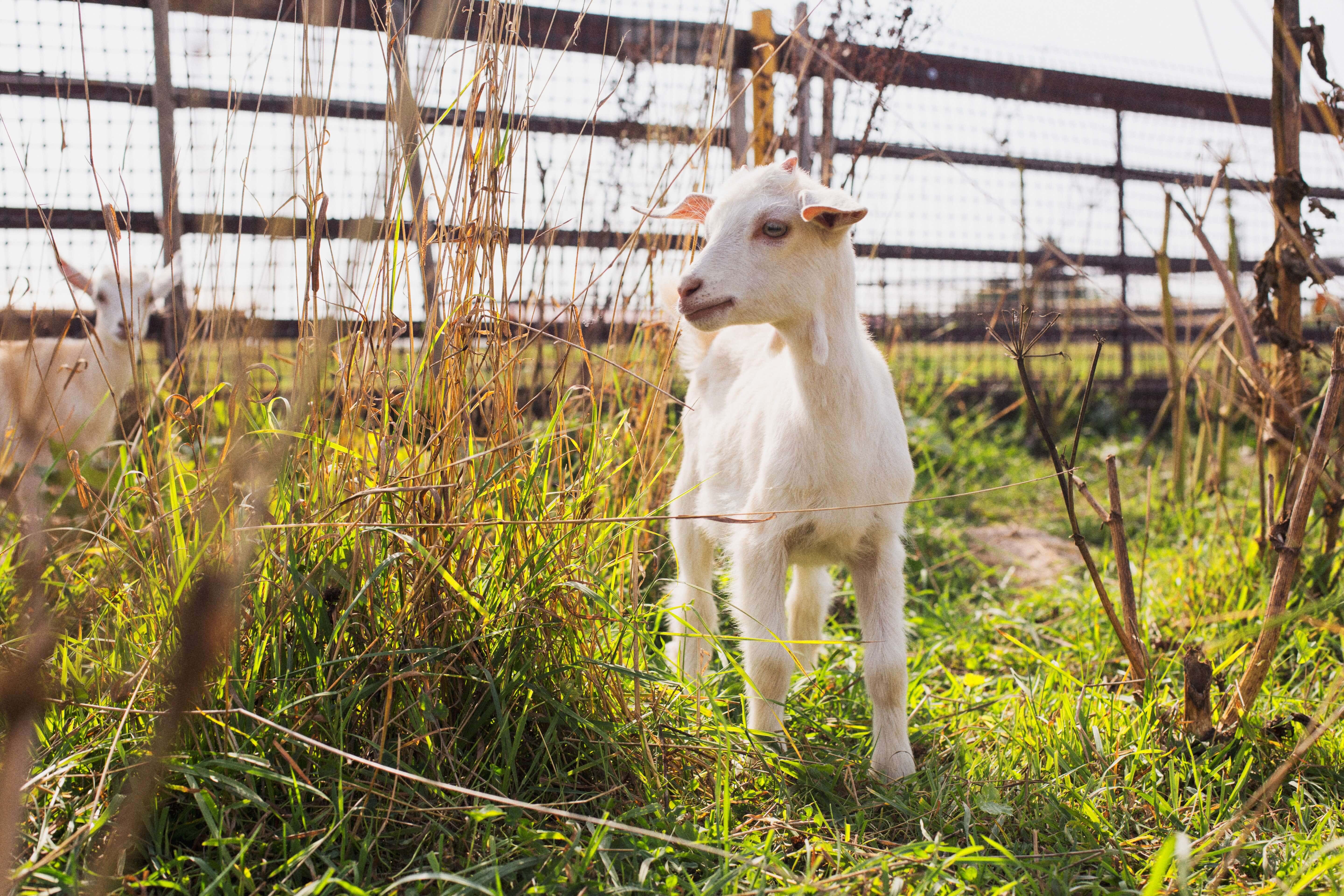 Фото Усадьба Четыре Сезона