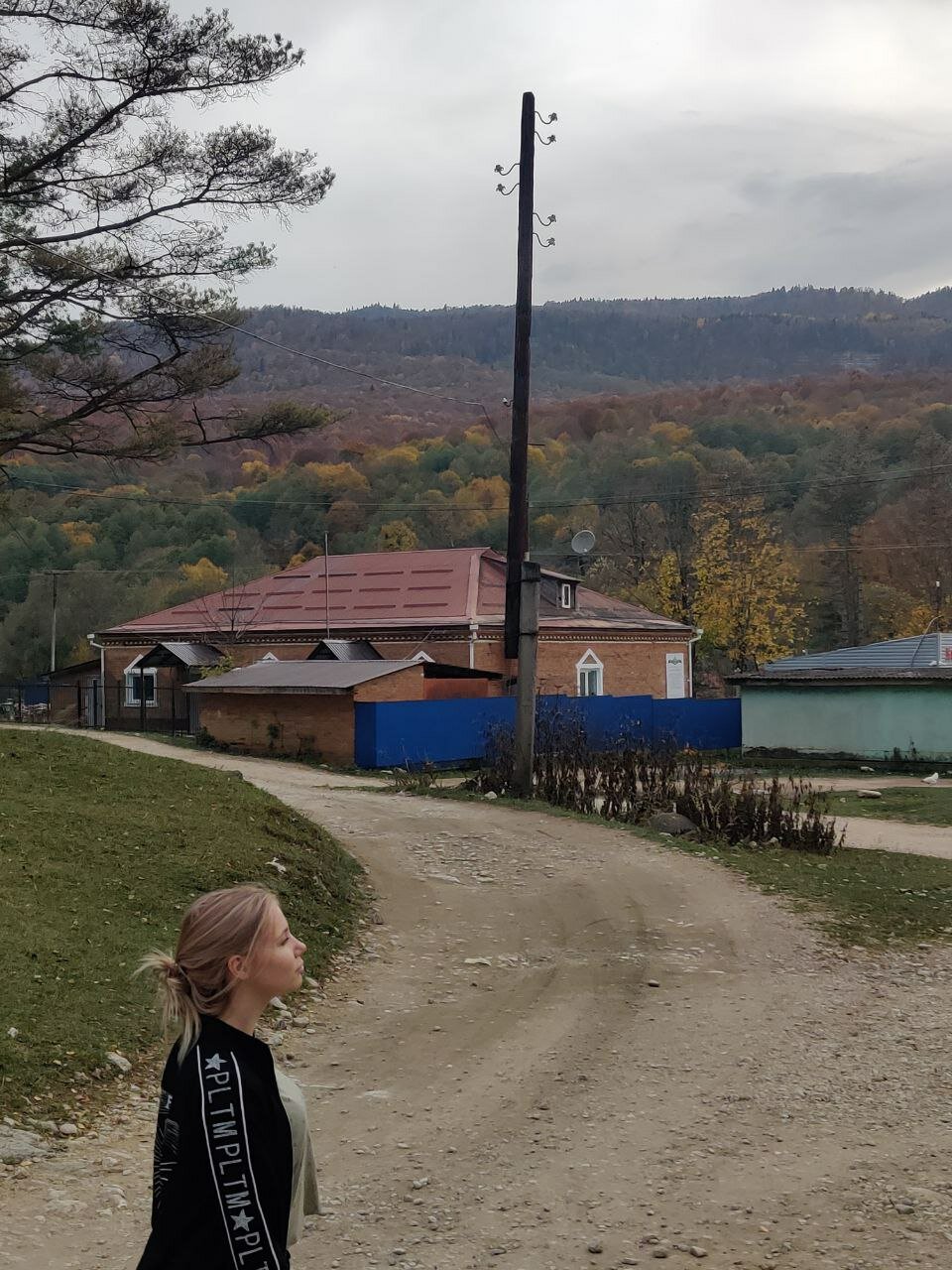 Фото Лесной