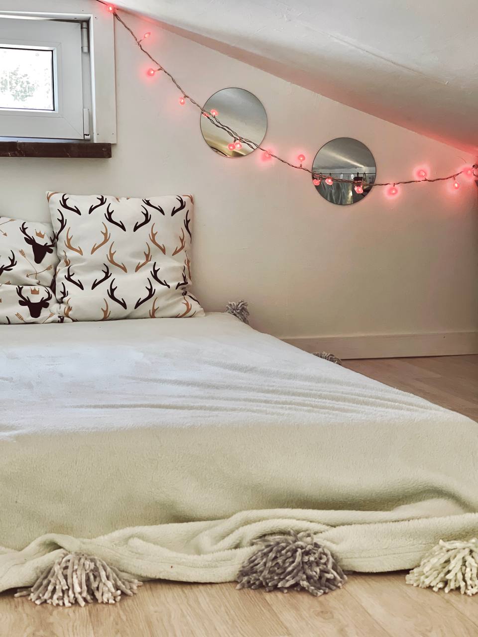 Фото Секвойя