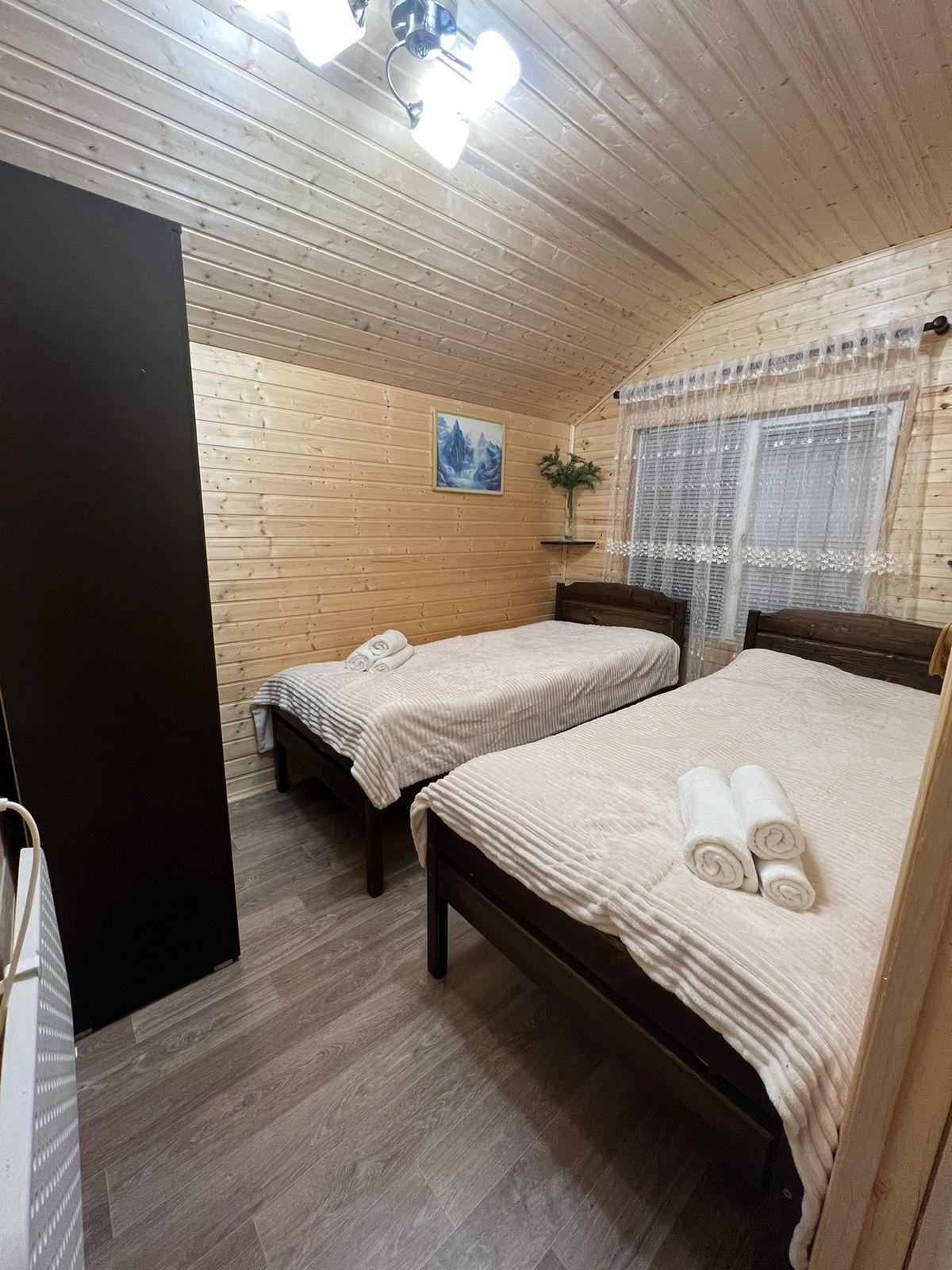 Фото Дикая Лошадь