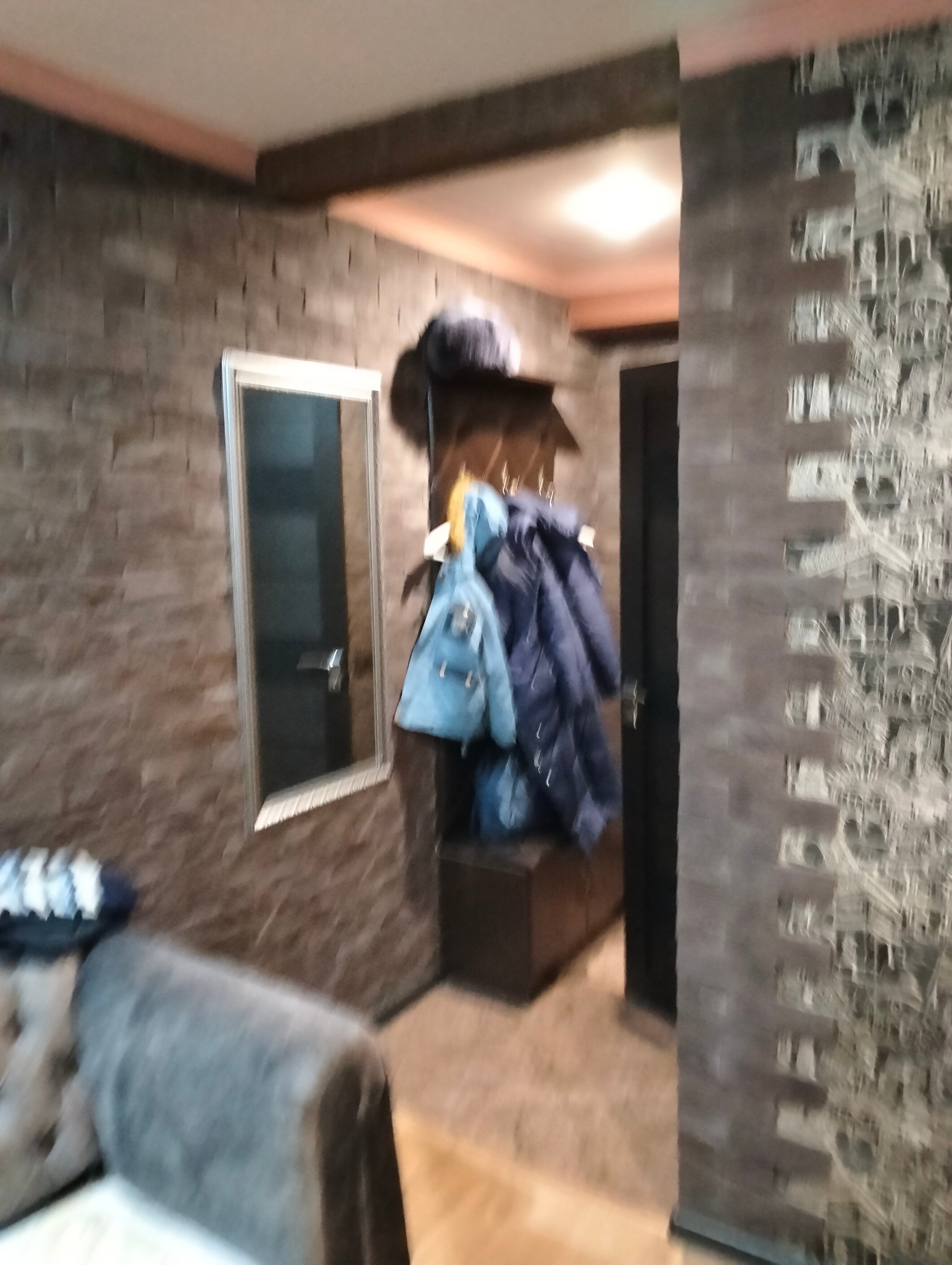 Фото Фриссон