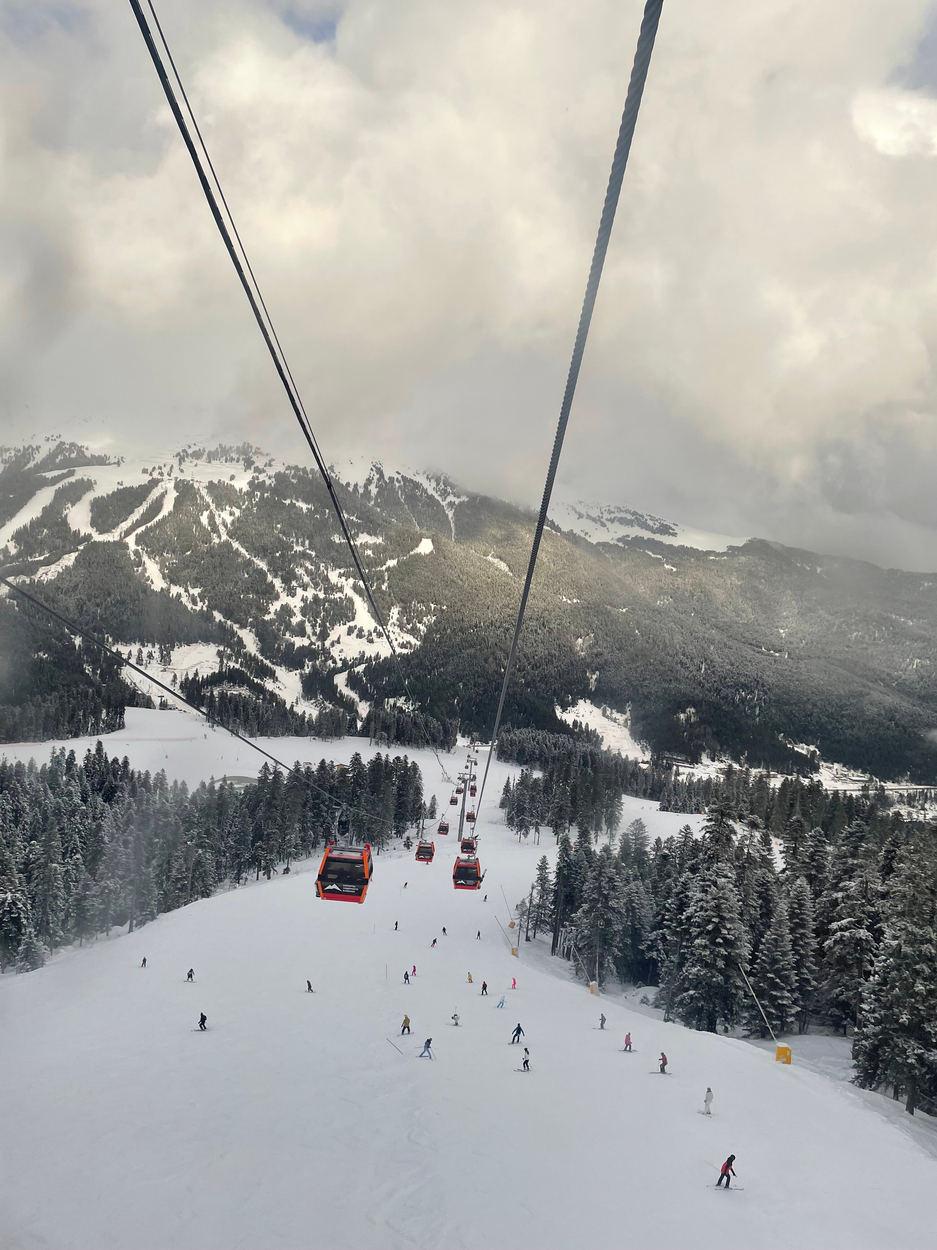 Фото Forest House Resort