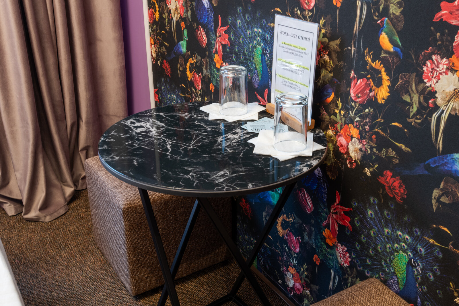 Фото Сова на Планерной