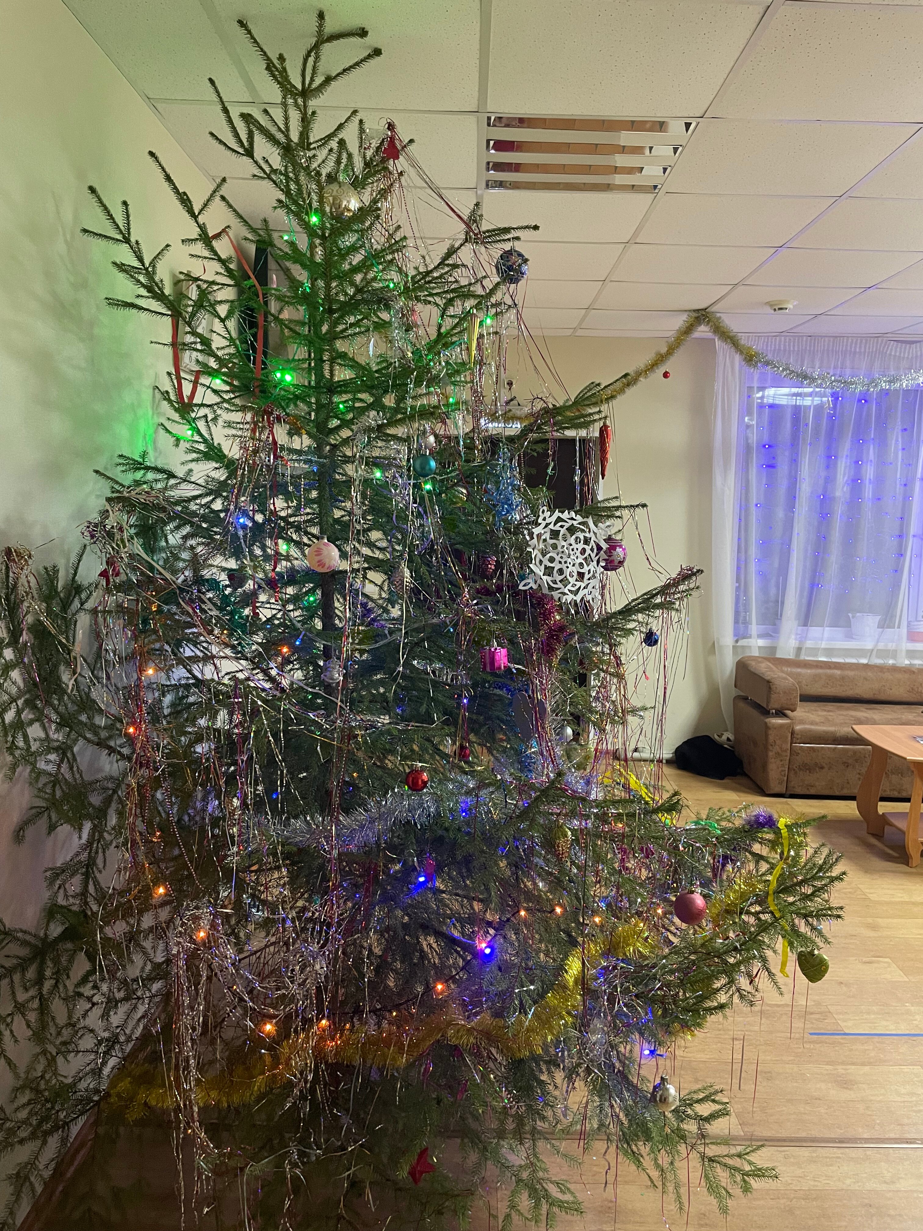 Фото Святогор