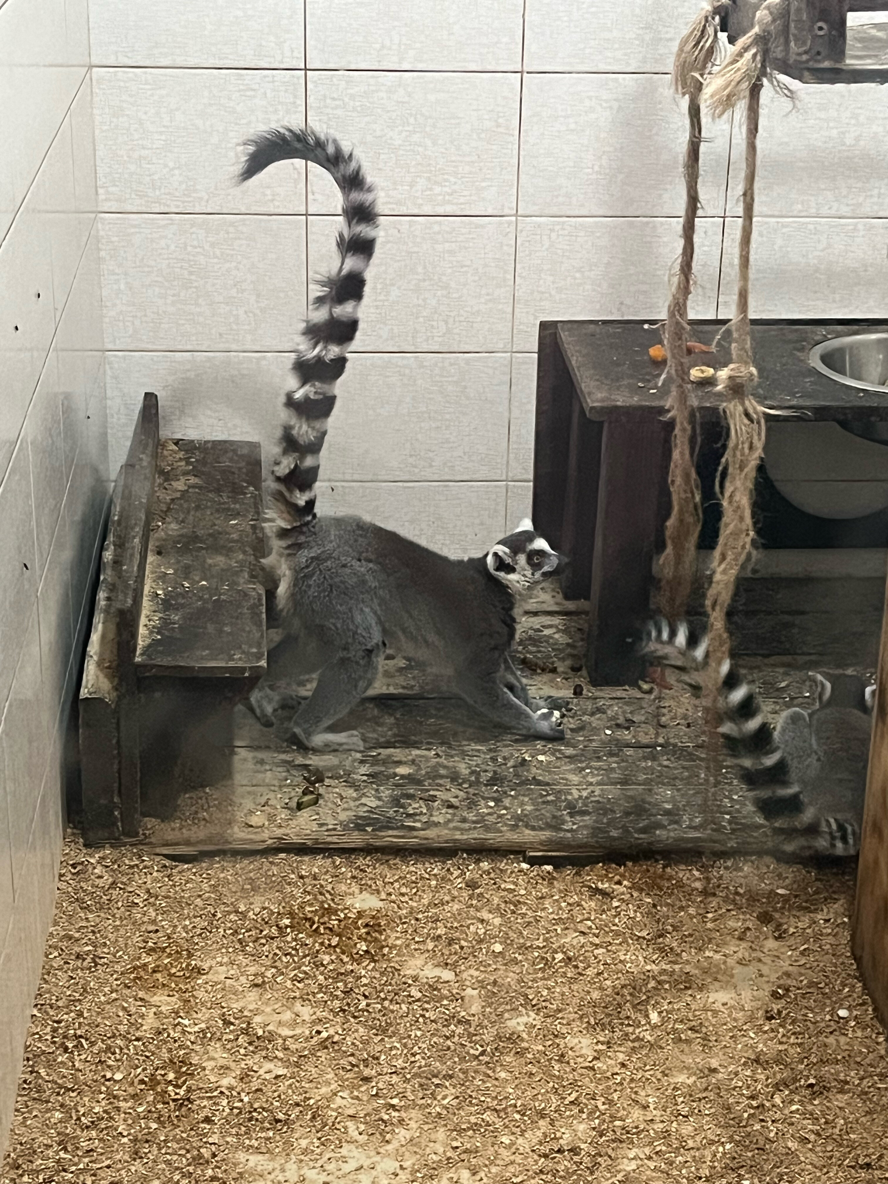 Фото Теремок