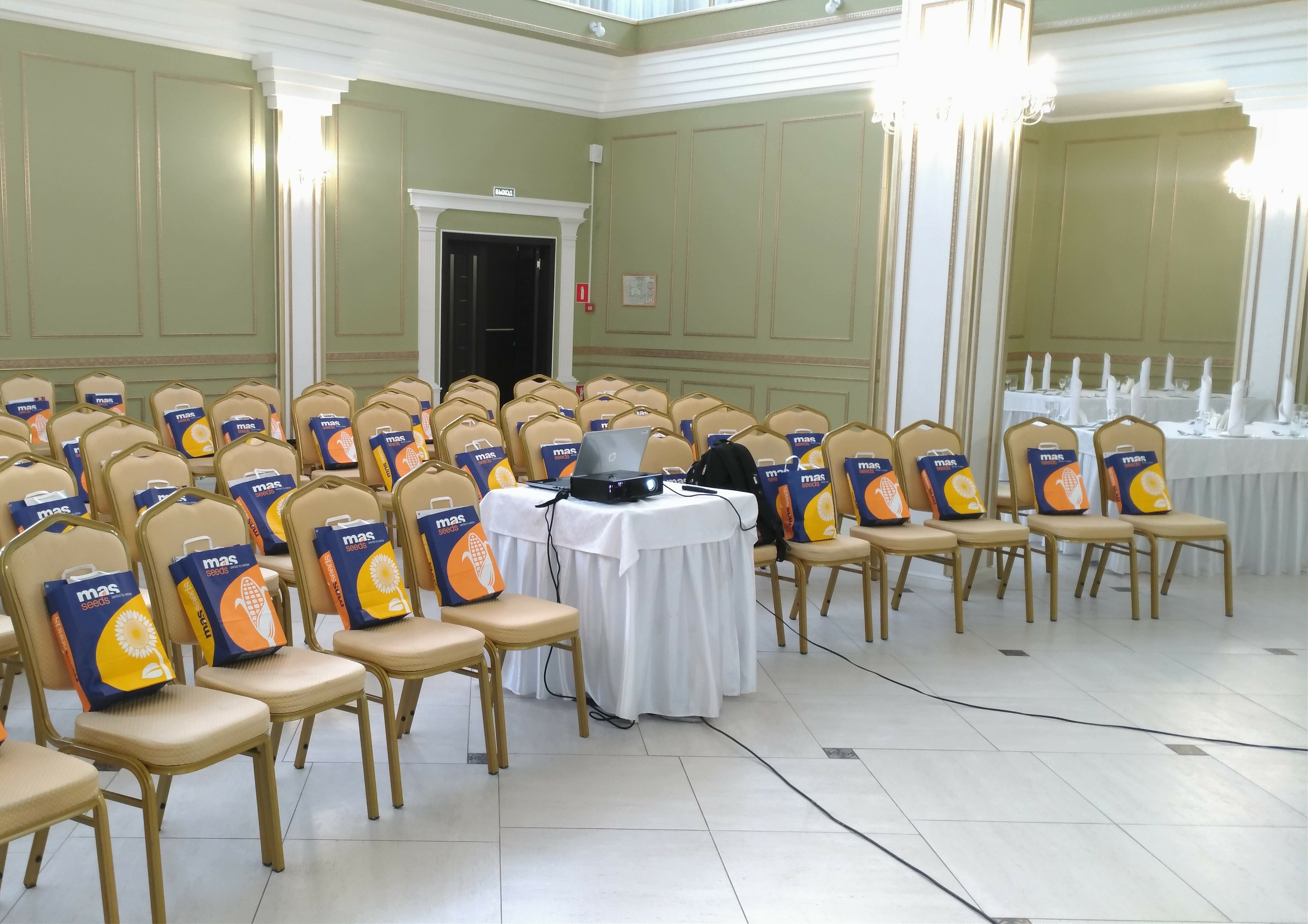 Фото Белая Акация