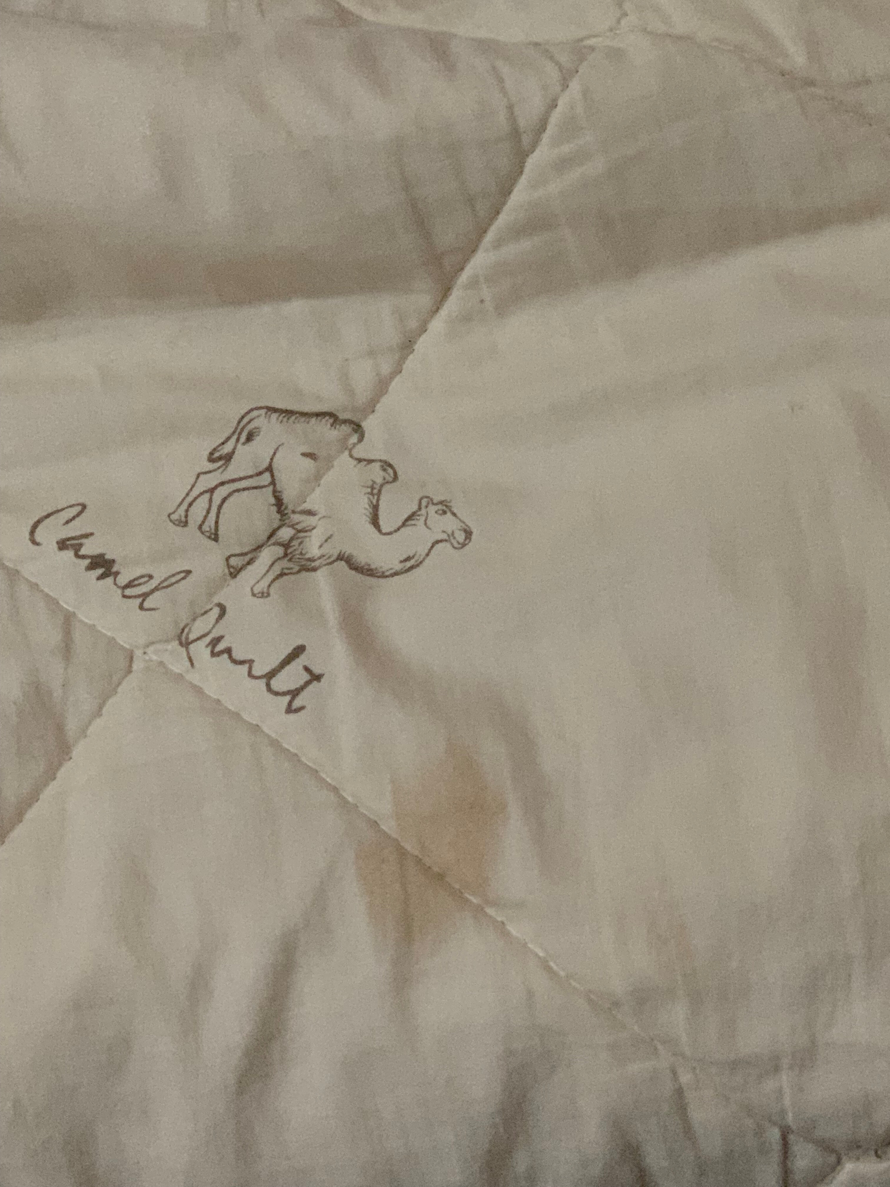 Фото Дубрава