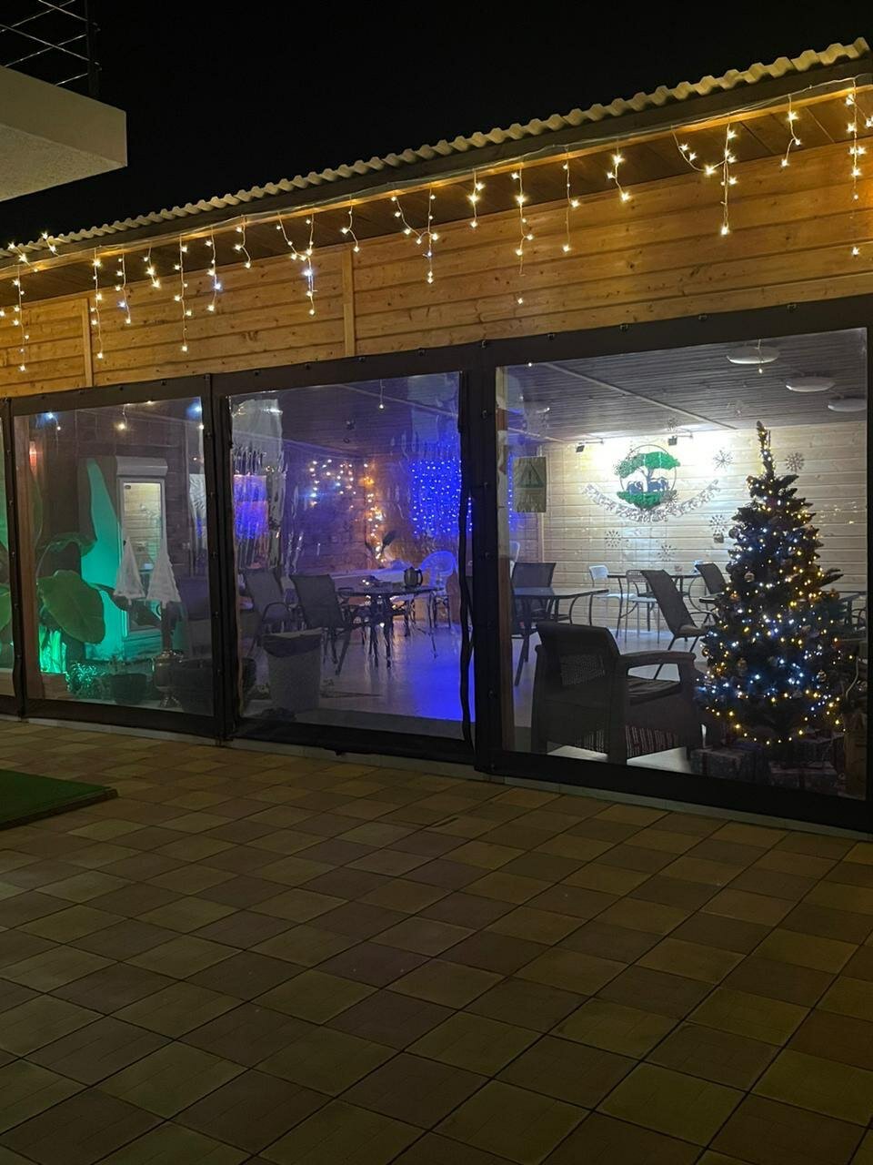 Фото Green Elephant