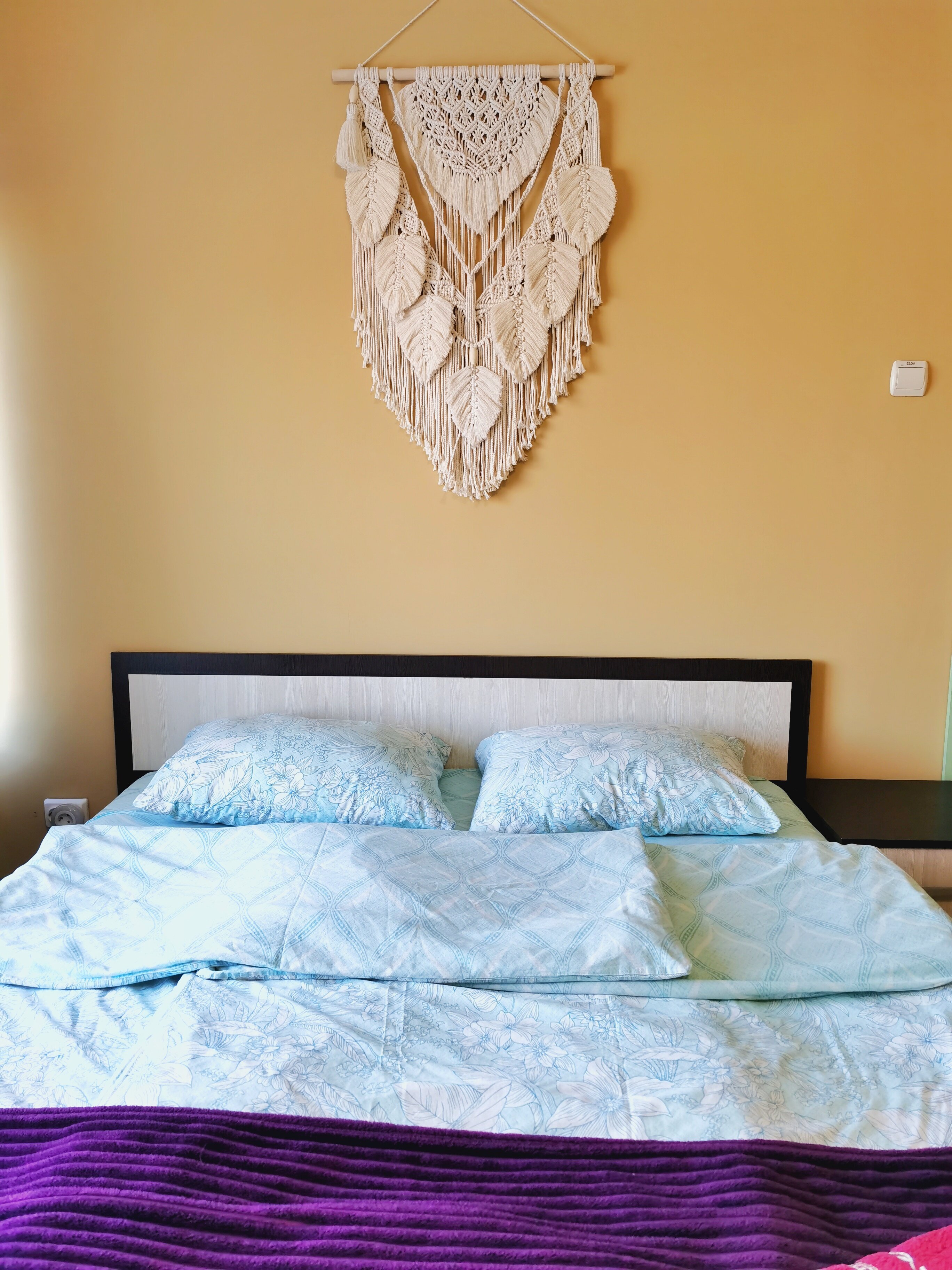 Фото Уютная Лиса