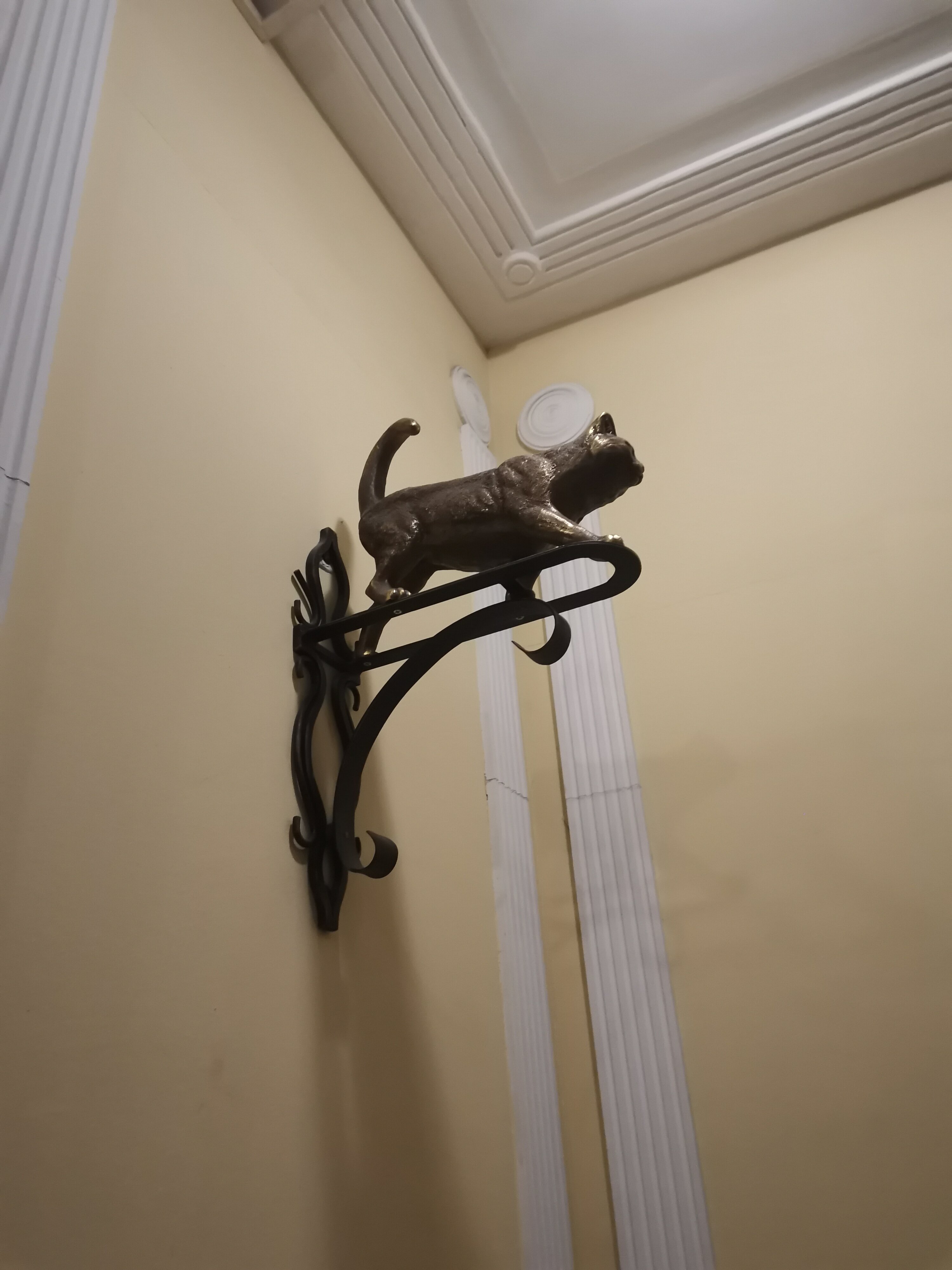 Фото Мишаня