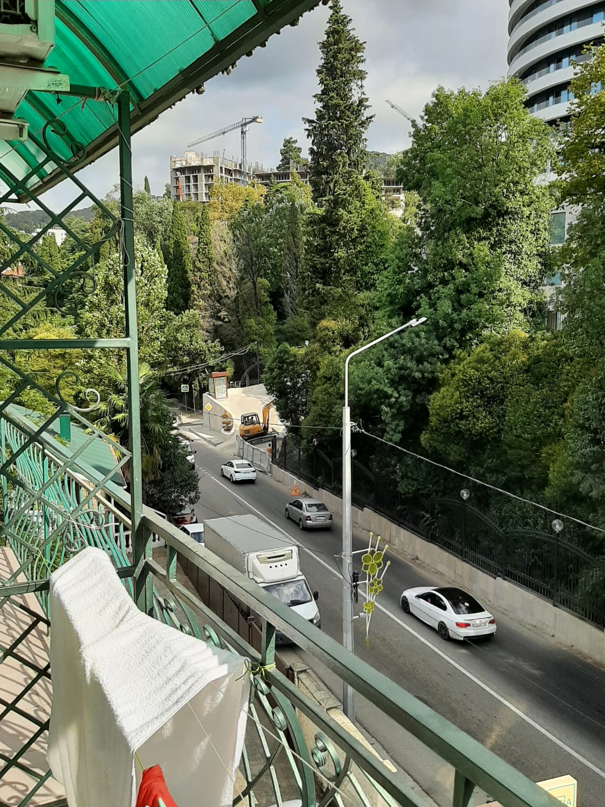 Фото Золотая пальма