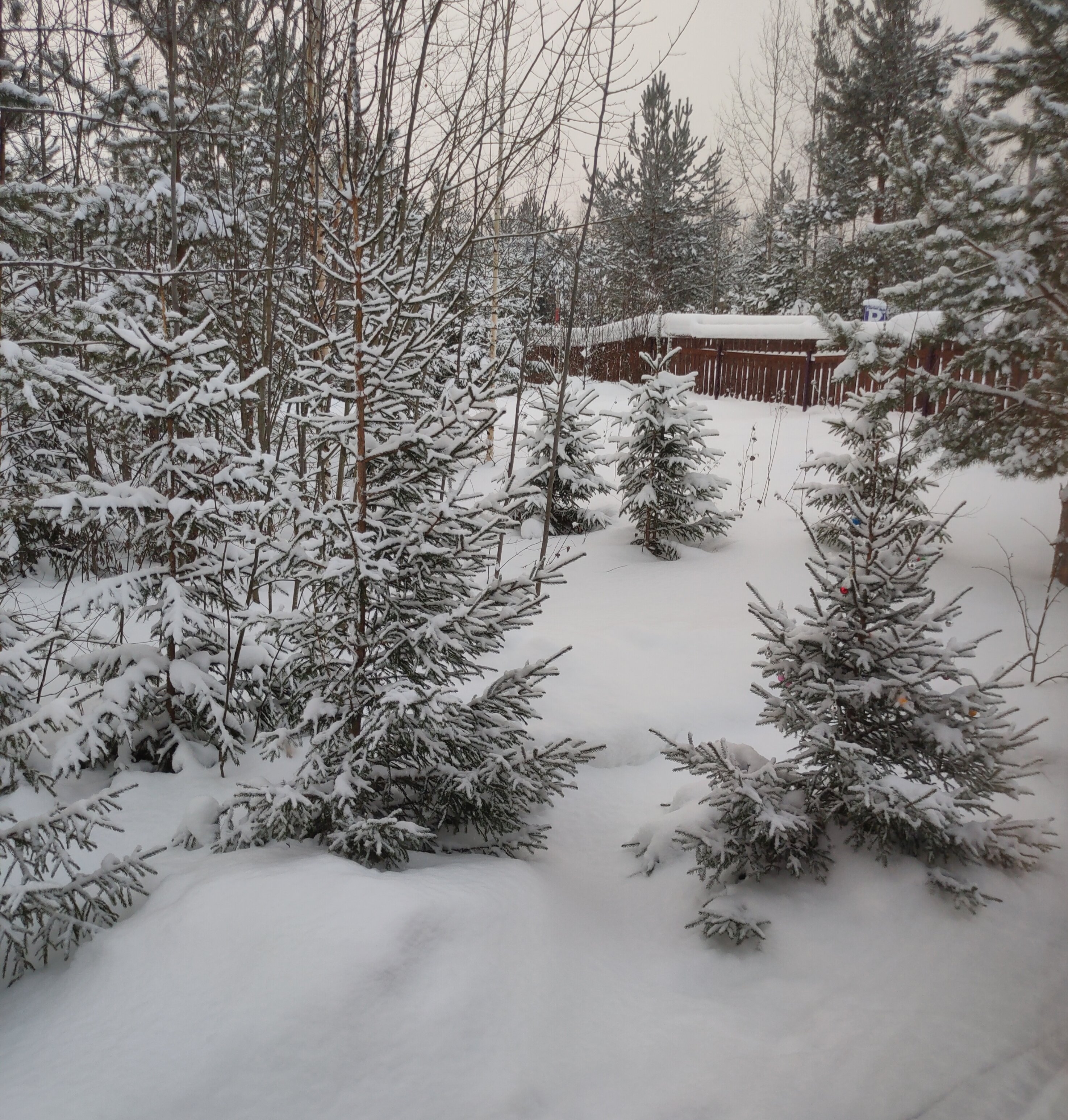 Фото Каликина гора