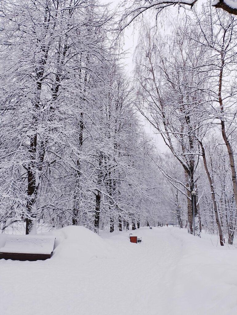 Park Doaflip, Moscow, photo