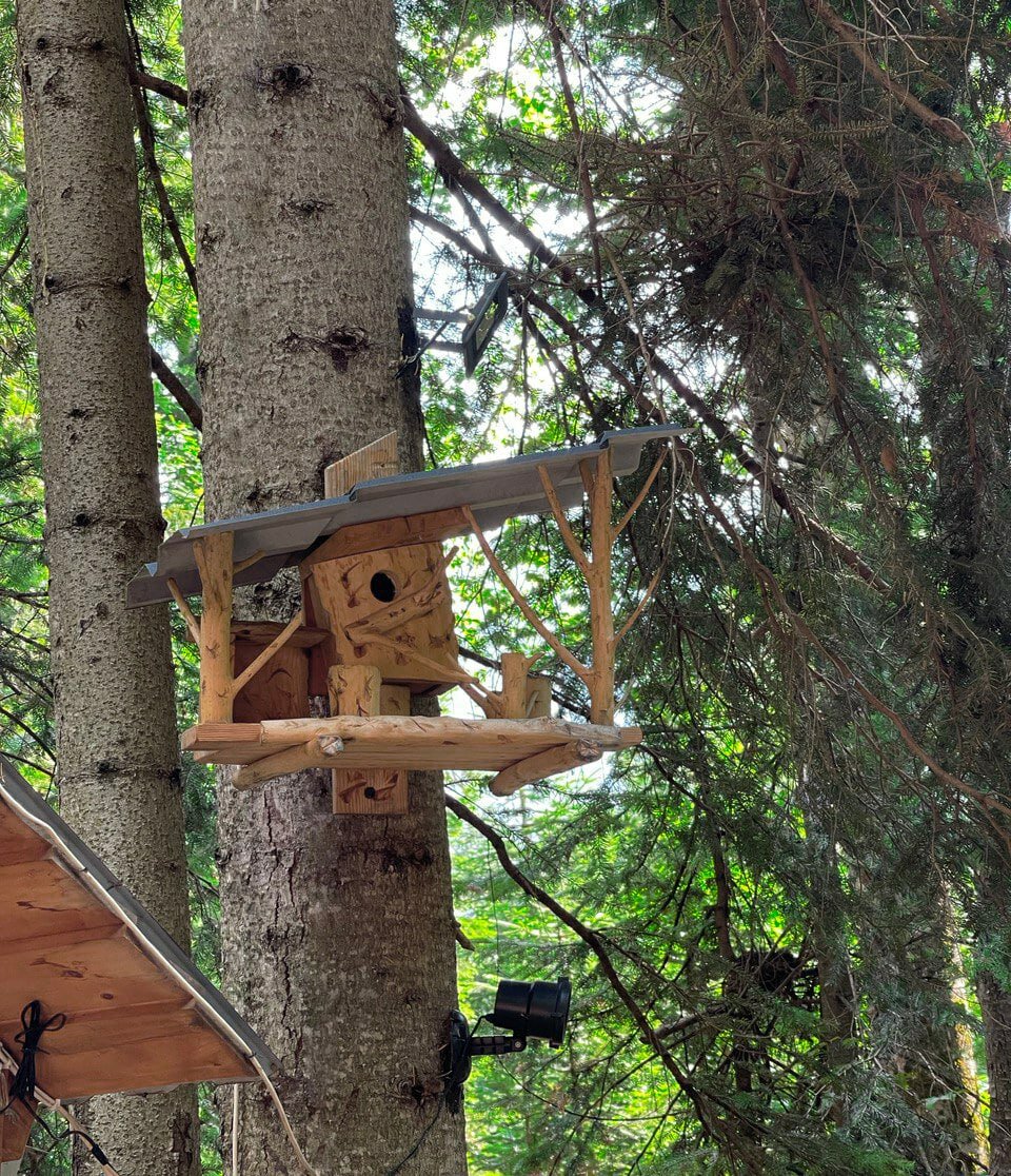 Фото Архыз Шале Хаус