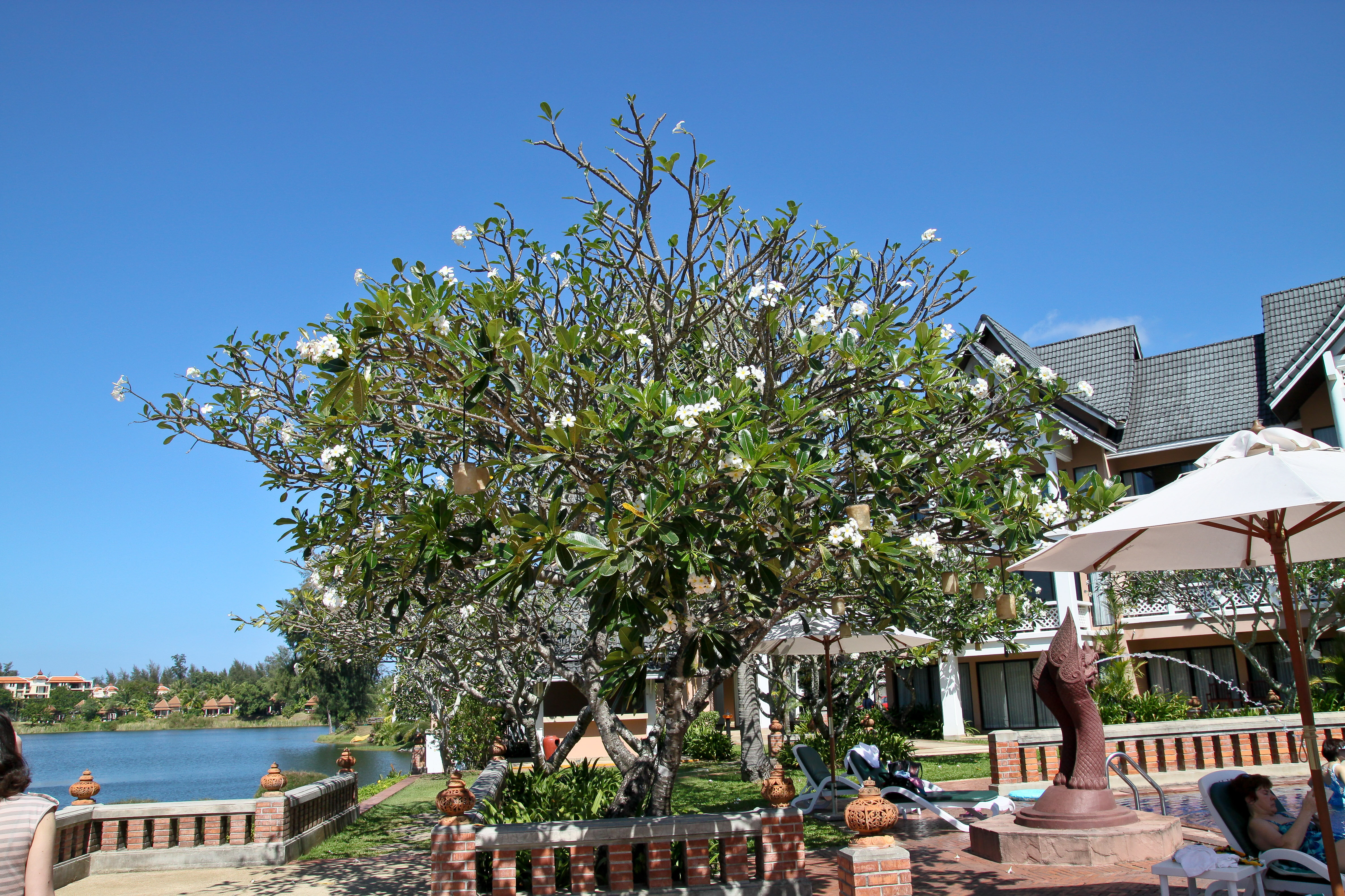 Фото Allamanda Laguna Phuket by Resava