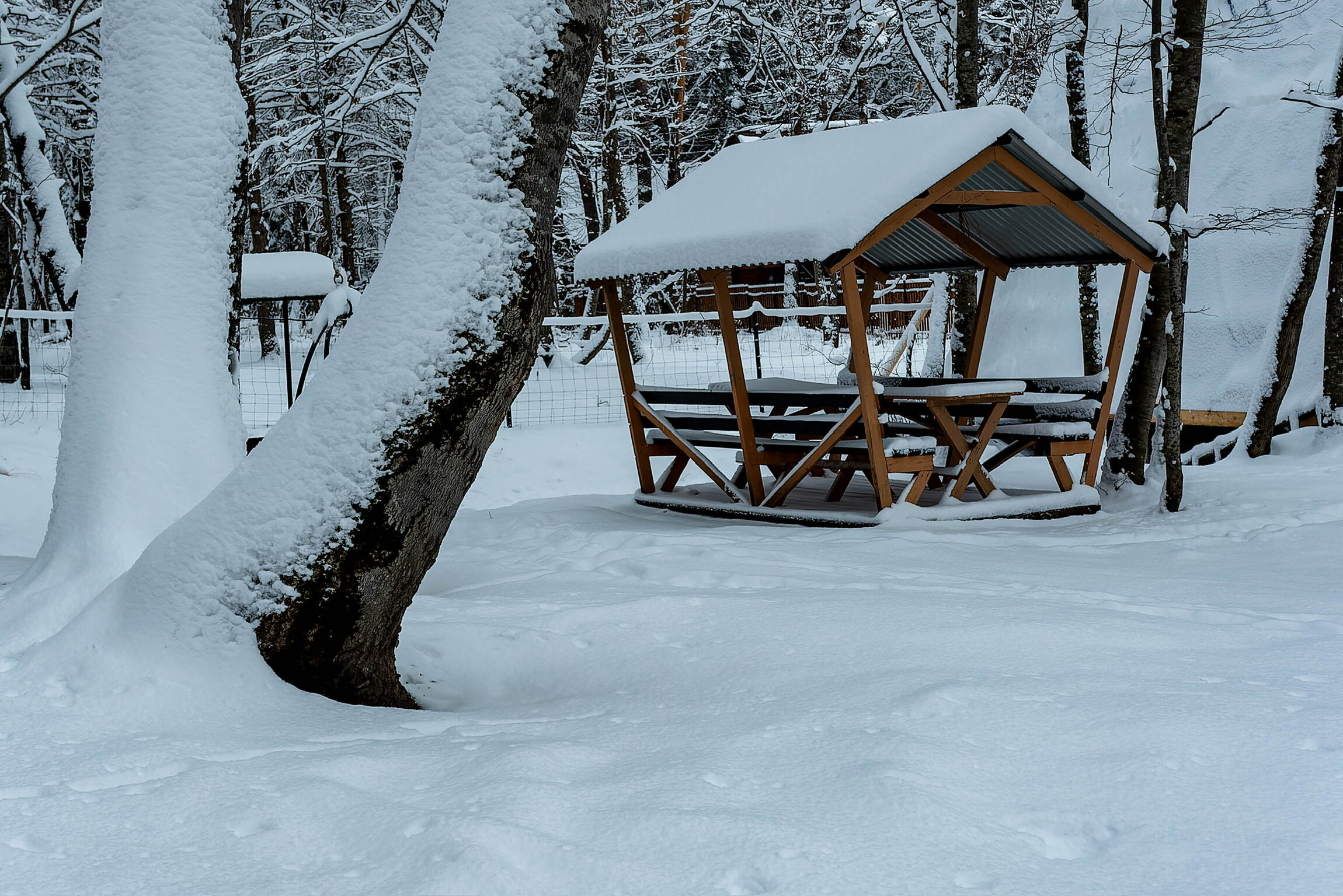 Фото Солнечный Дом