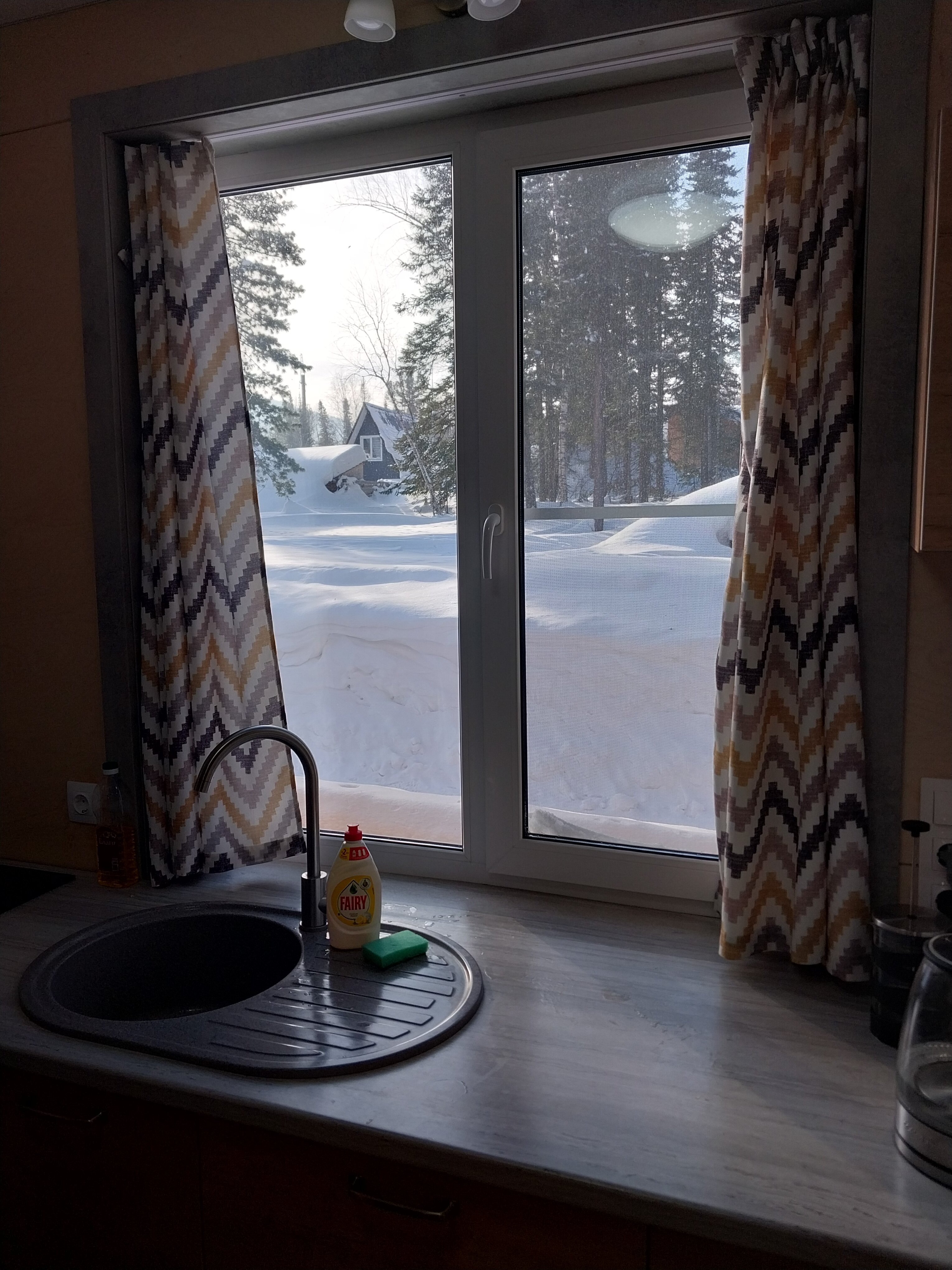 Фото Заповедный лес