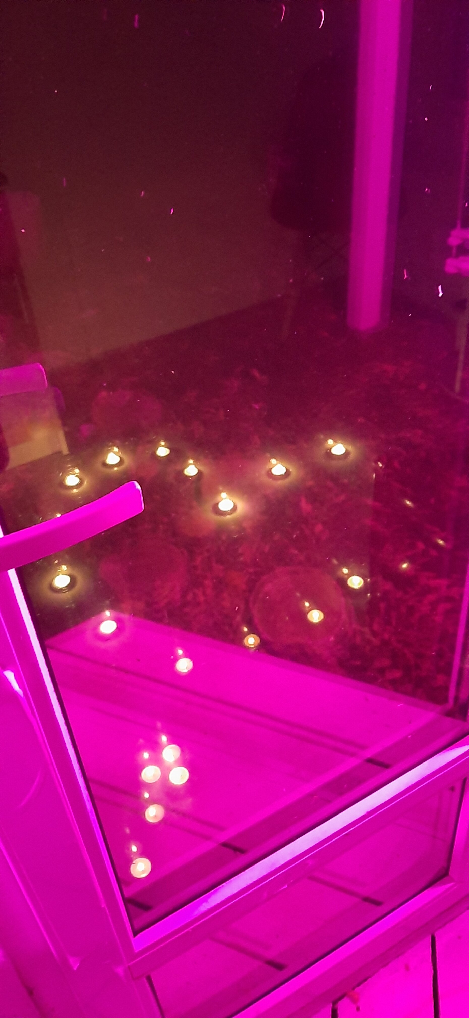 Фото Шемякинский уголок