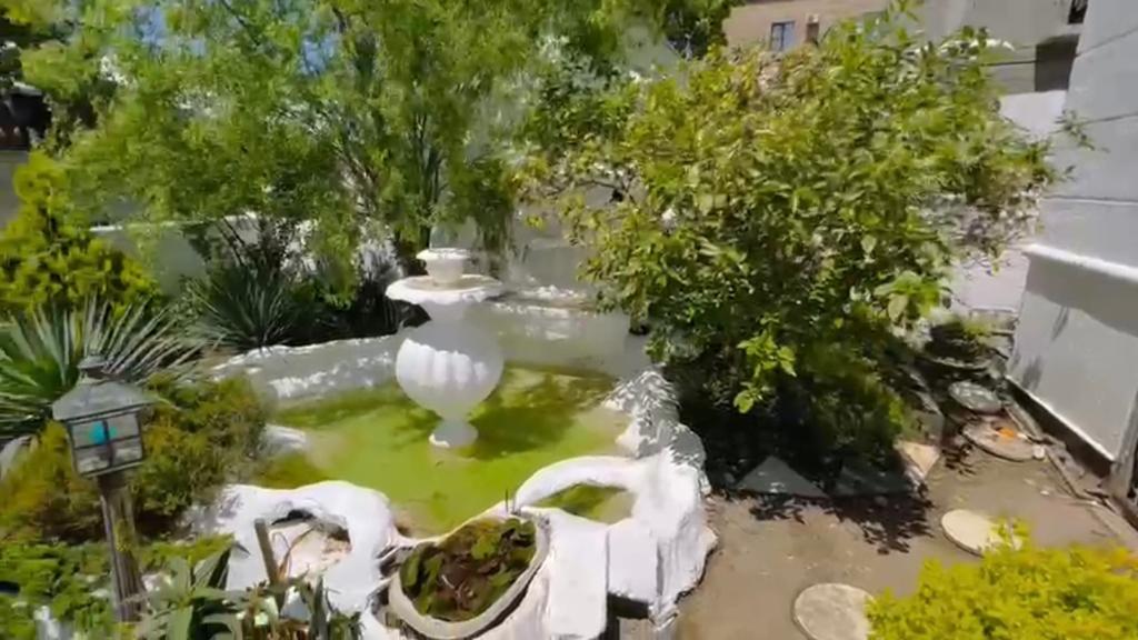 Фото Белый дом балерины