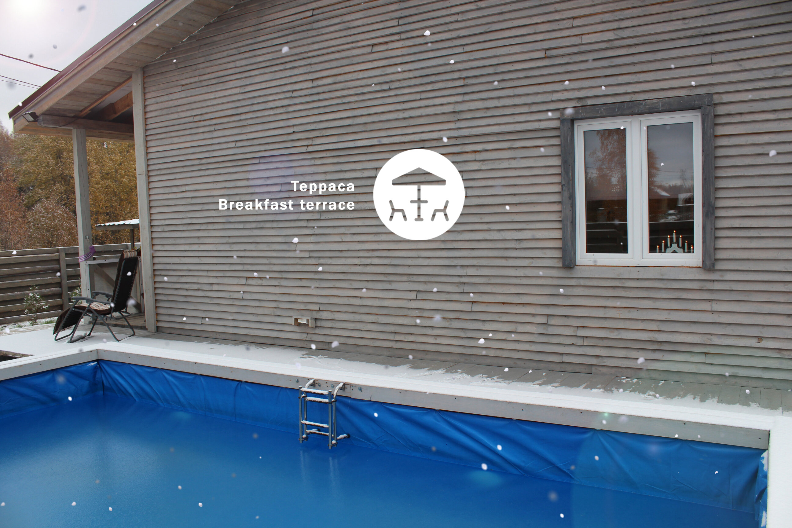 Фото Гнездо