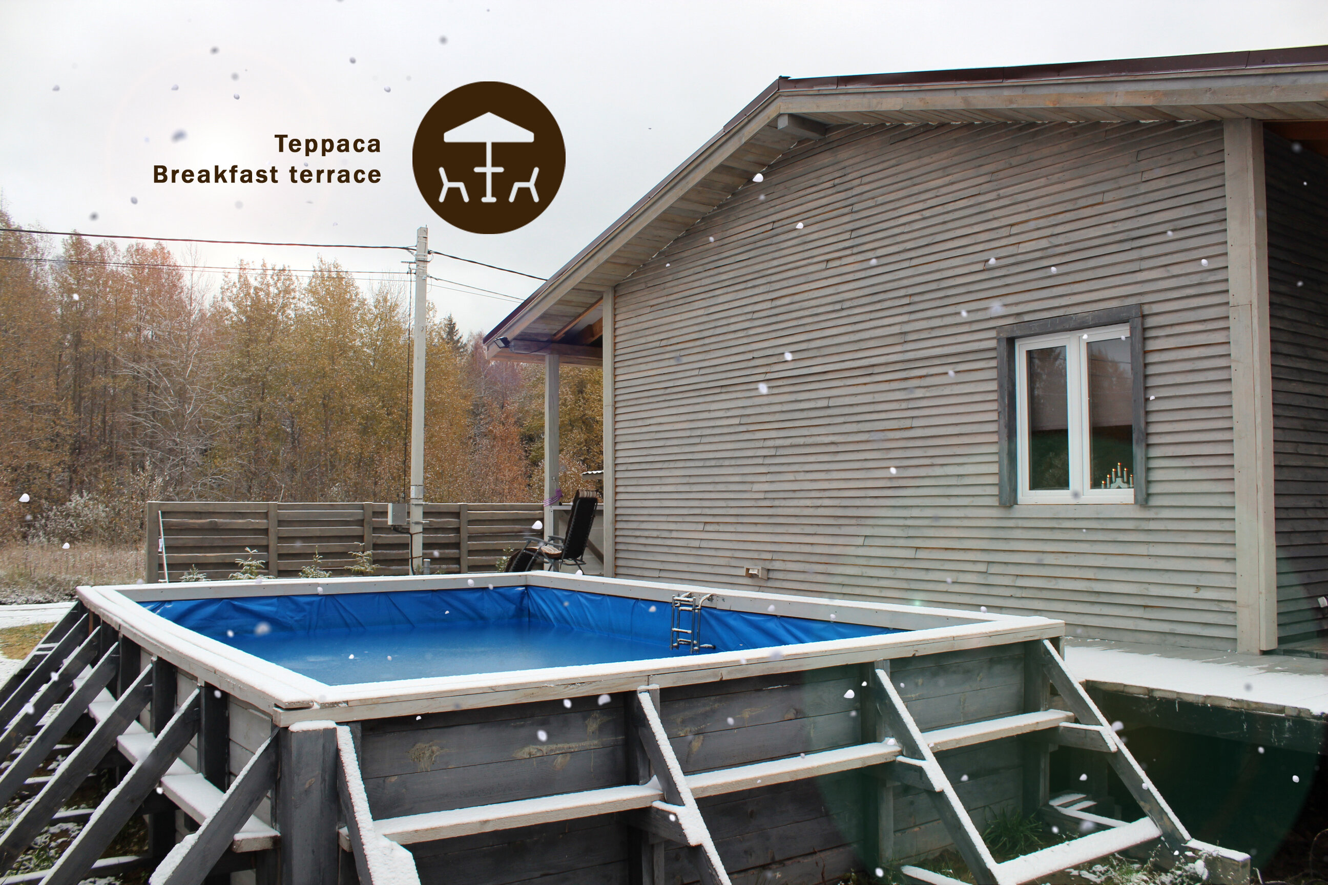 Фото Гнездо