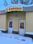 Алёнка (Нижегородская область, Саров, улица Шевченко), магазин продуктов в Сарове