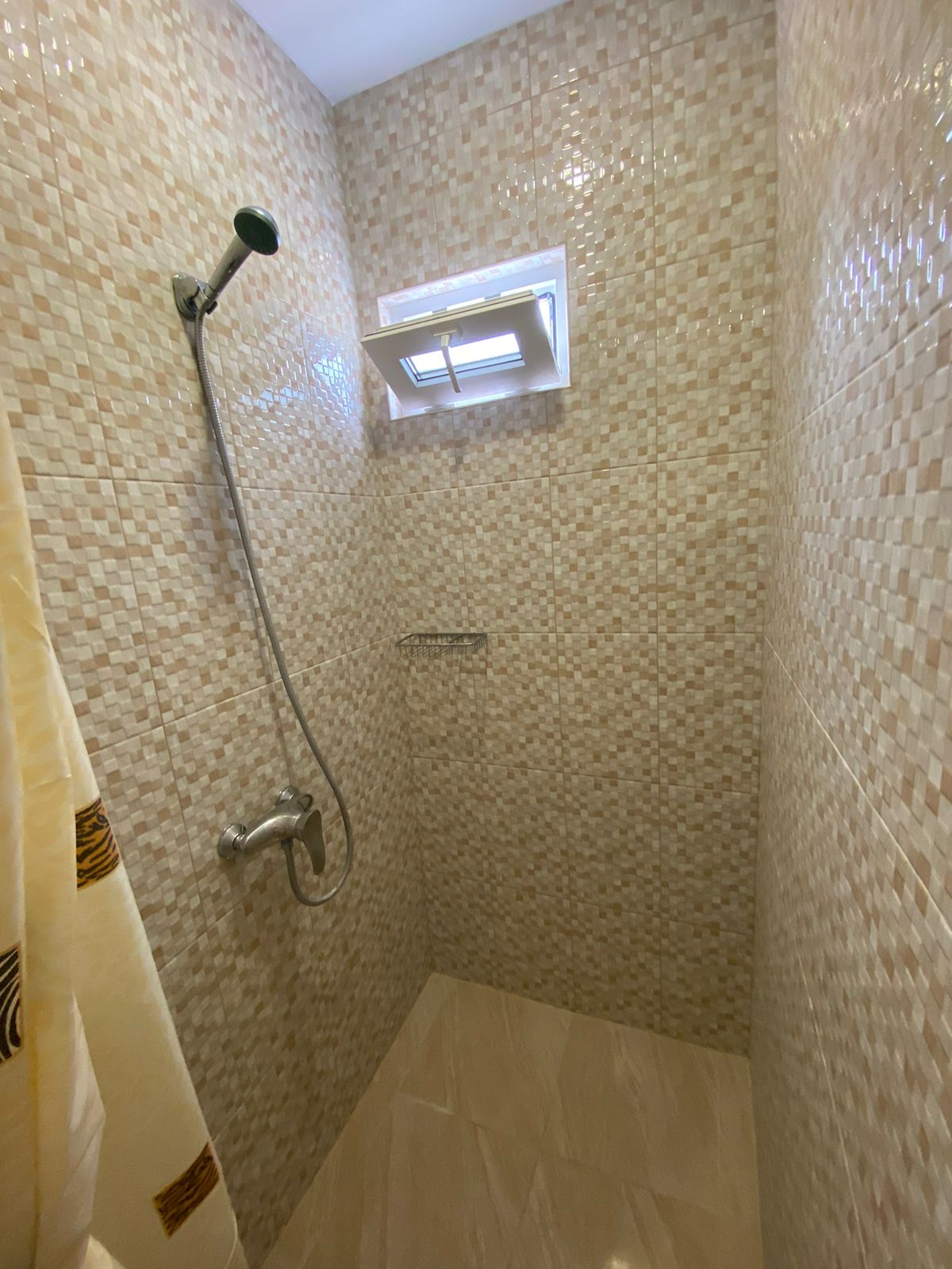 Фото Тростник