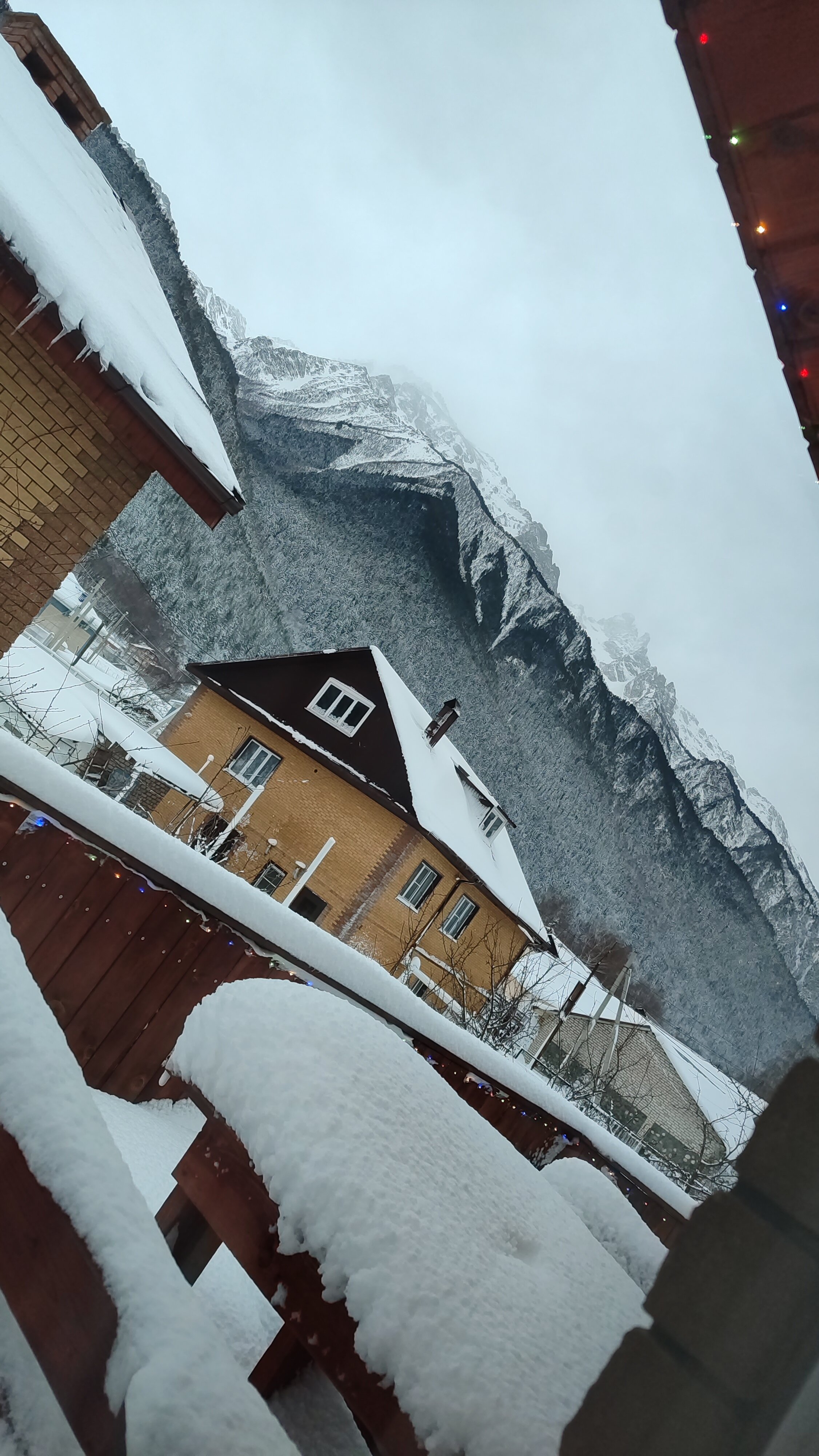 Фото Кипрей