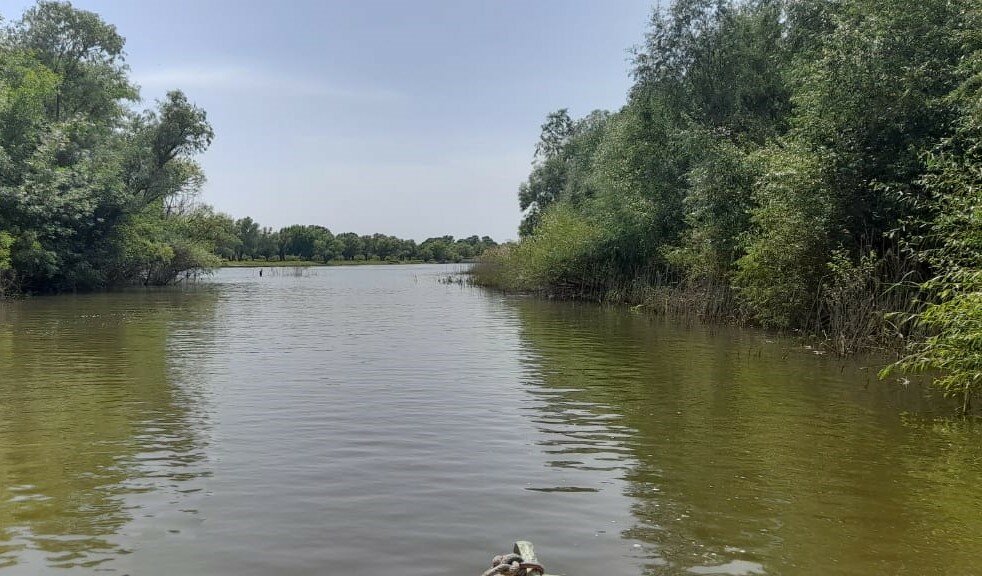 Фото Камышовый рай