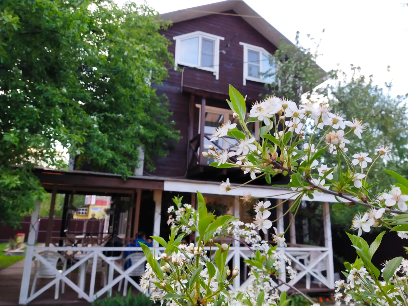 Фото АлтынЪ