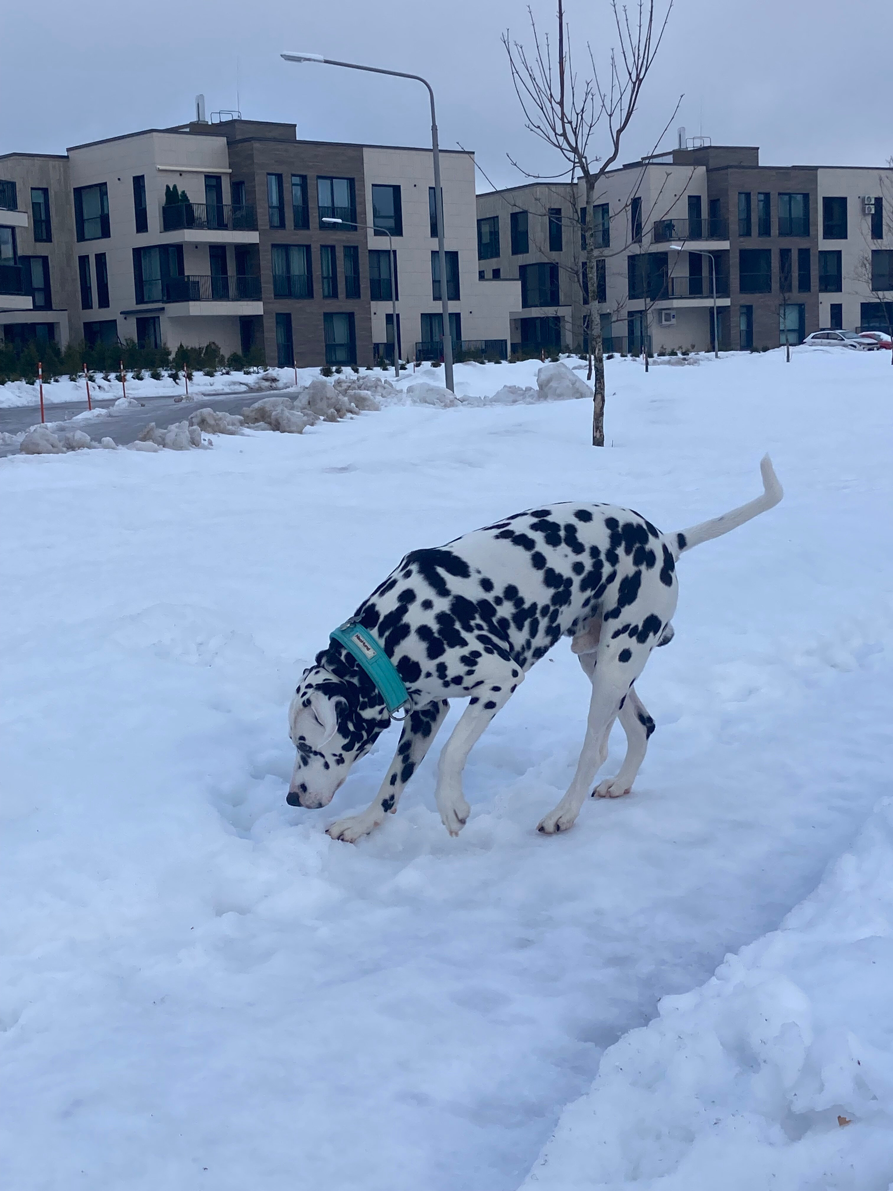 Фото Oxta Ski Resort